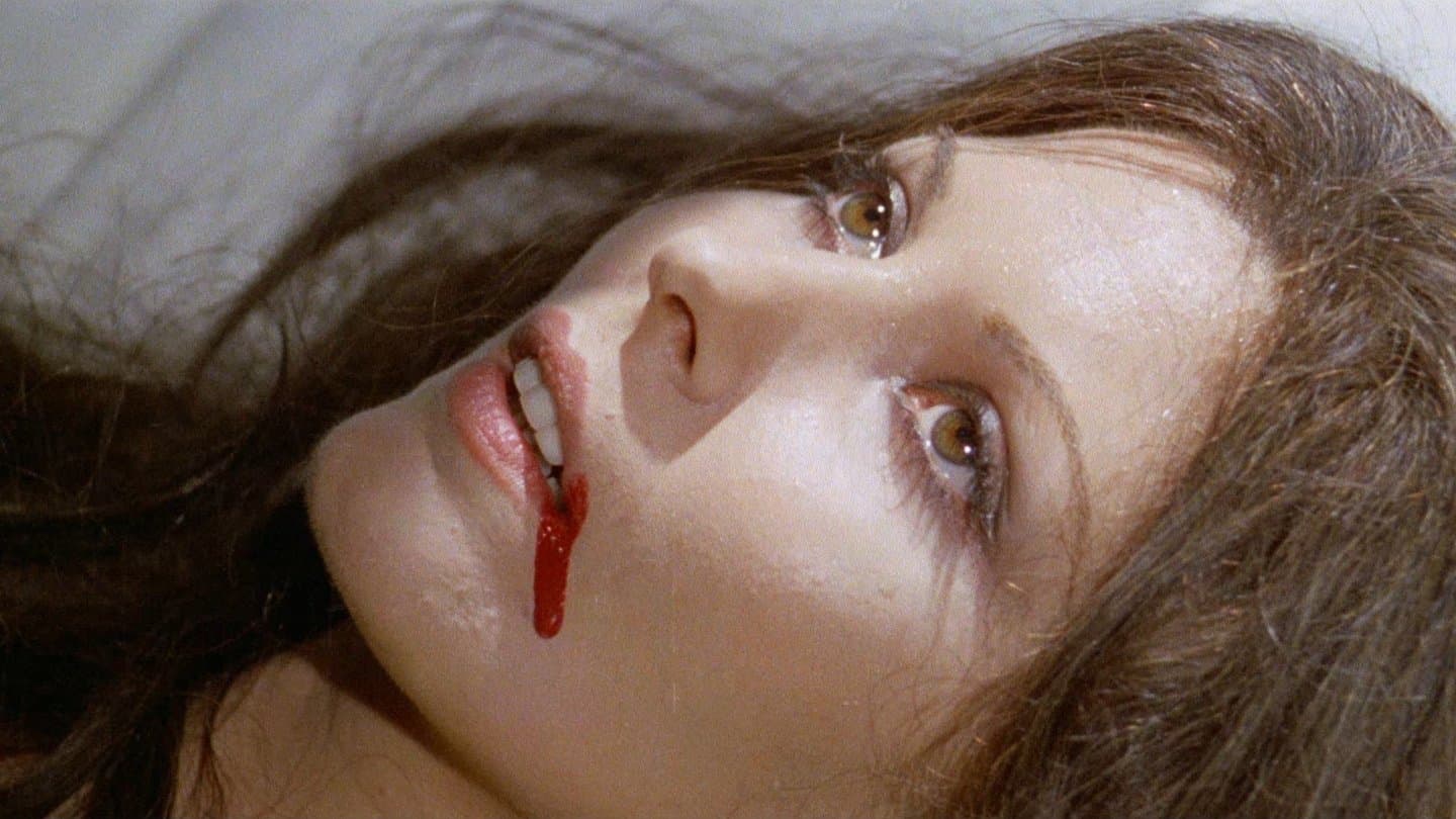 Tutti i colori del buio