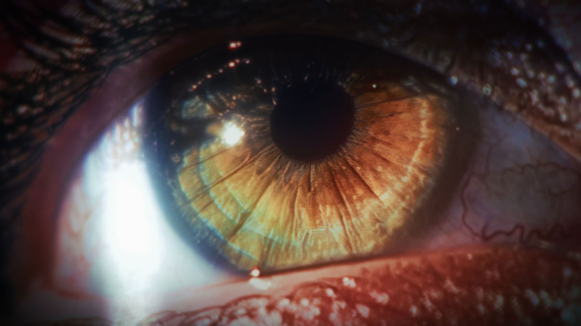 The Art Of Self Destruction - Director's cut