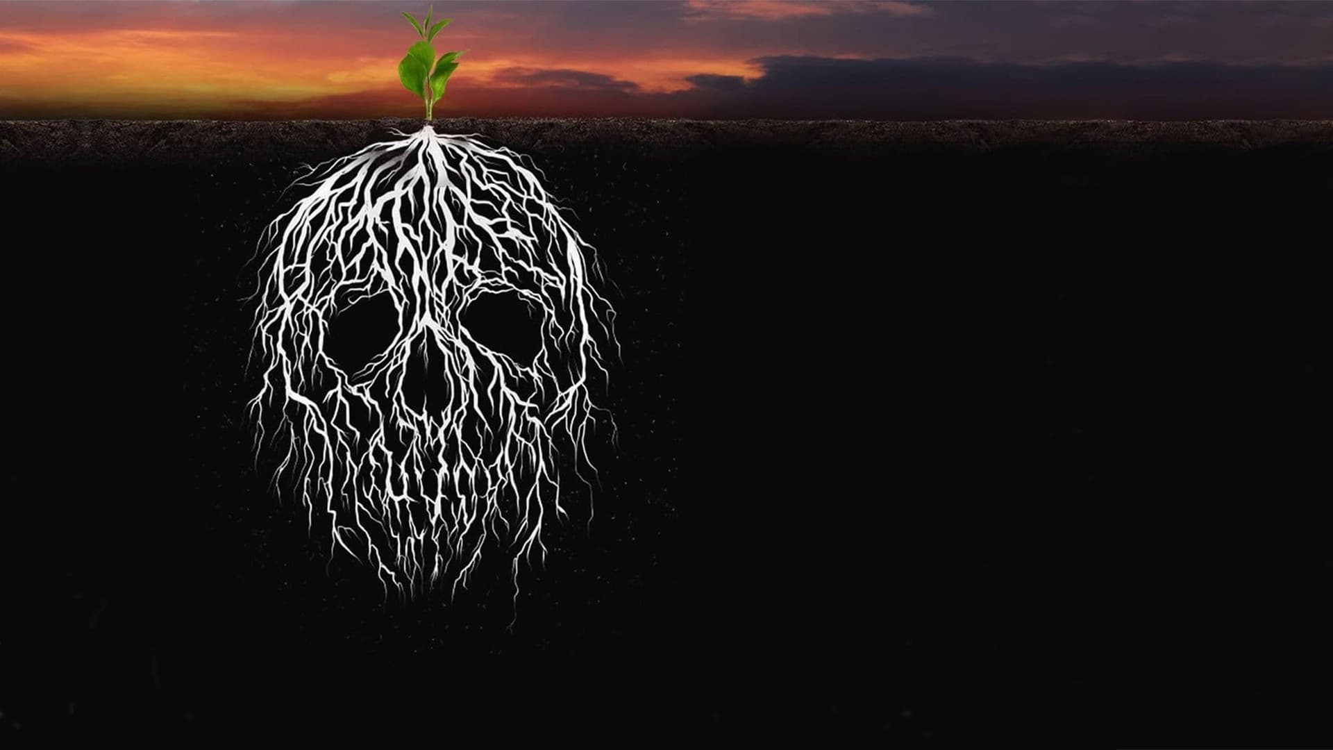 نصيبي وقسمتك