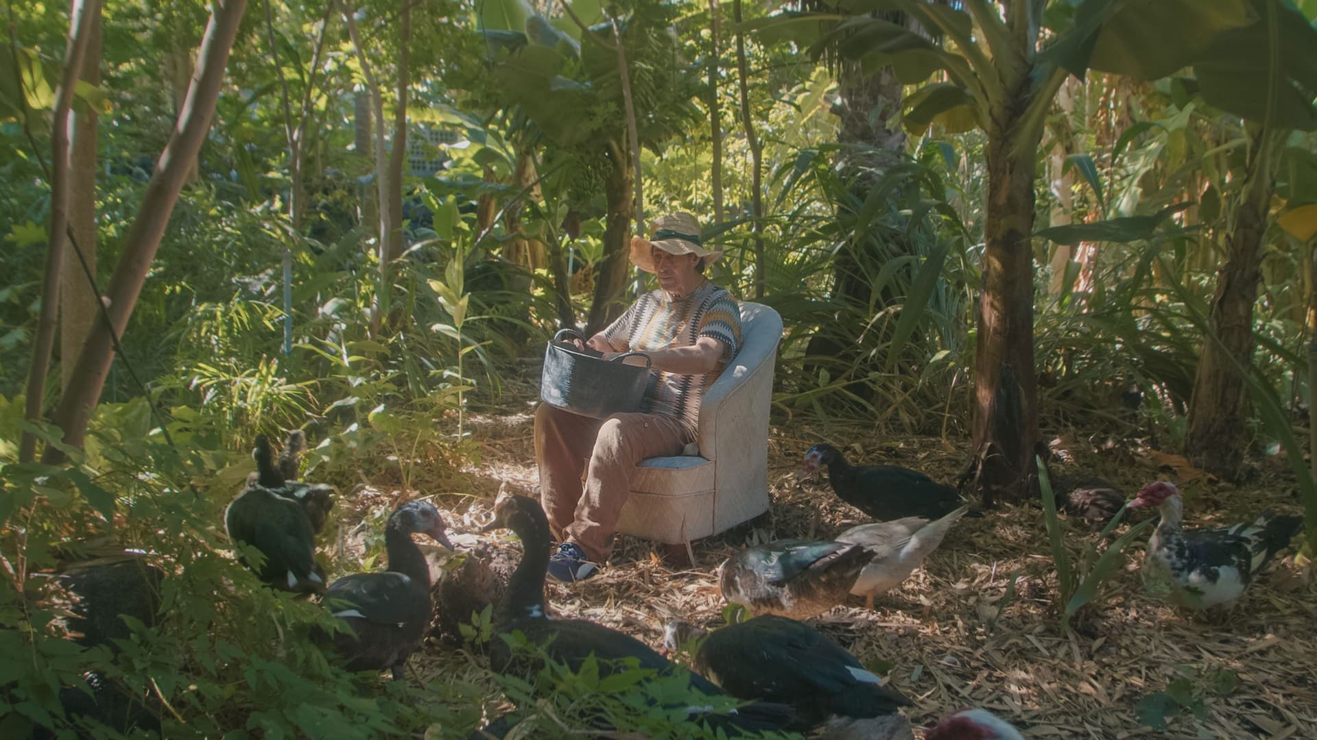 Pedro Tomás Explica El Mundo