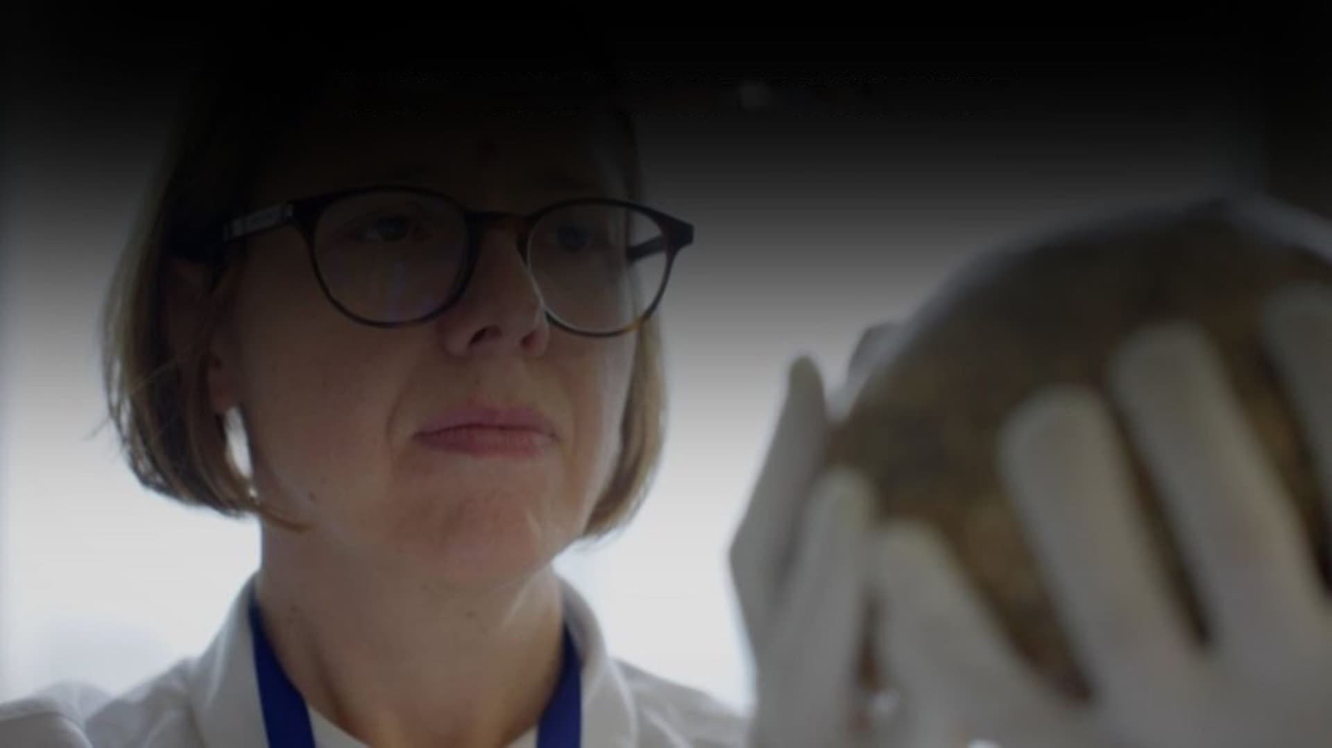 Neanderthals vs Sapiens: Two of a Kind