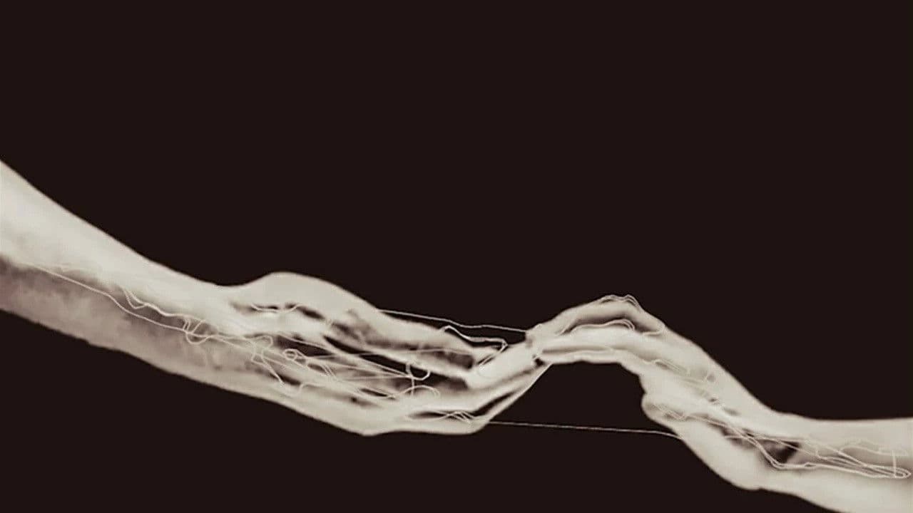 Preludio de un destello