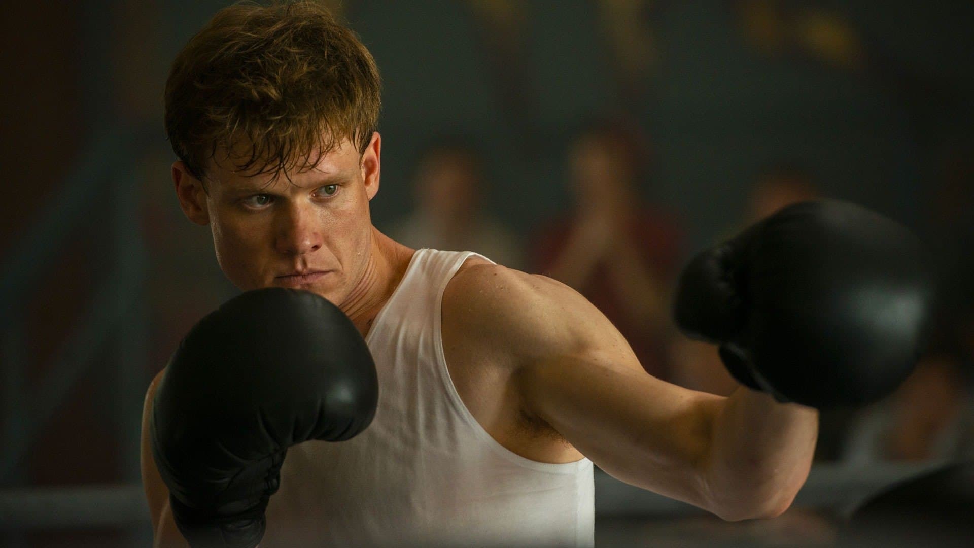 Мистер Нокаут