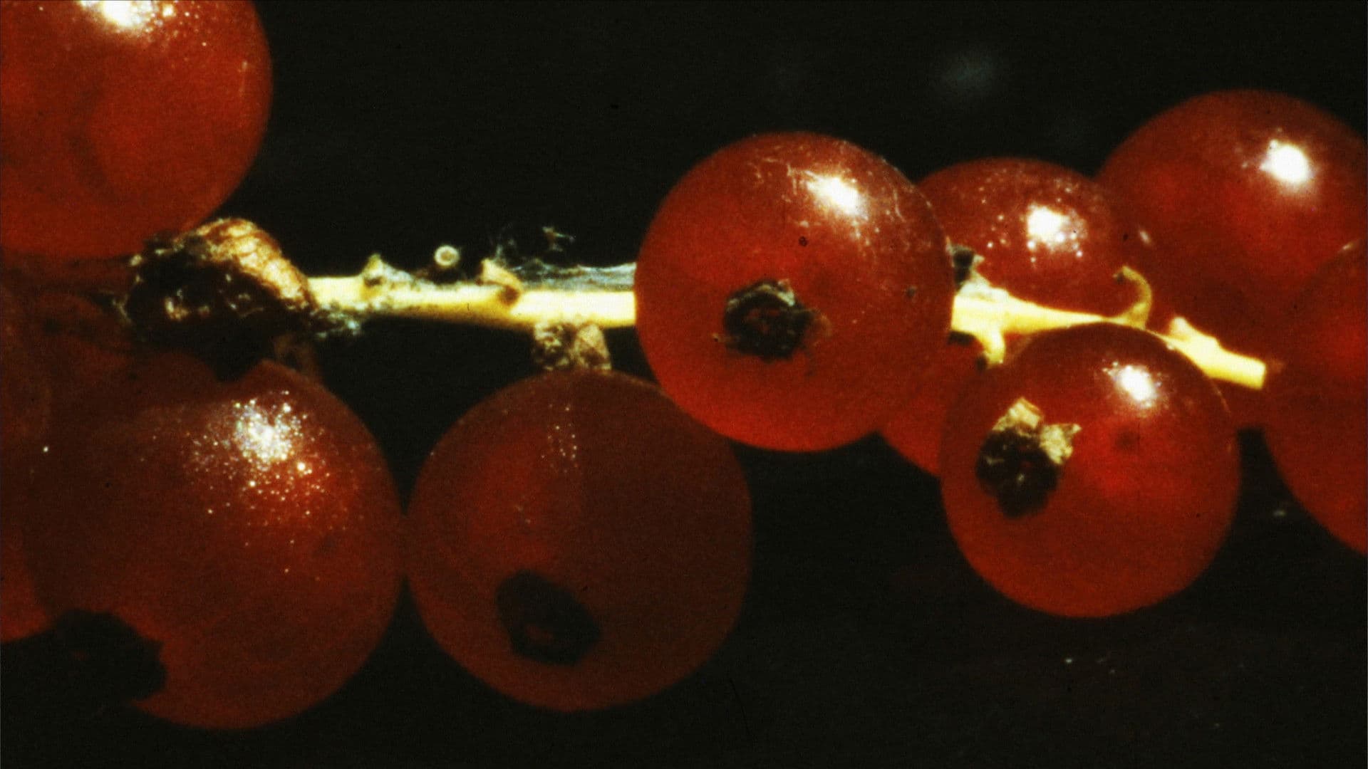 and so it came about (A Tale of Consequential Dormancy)