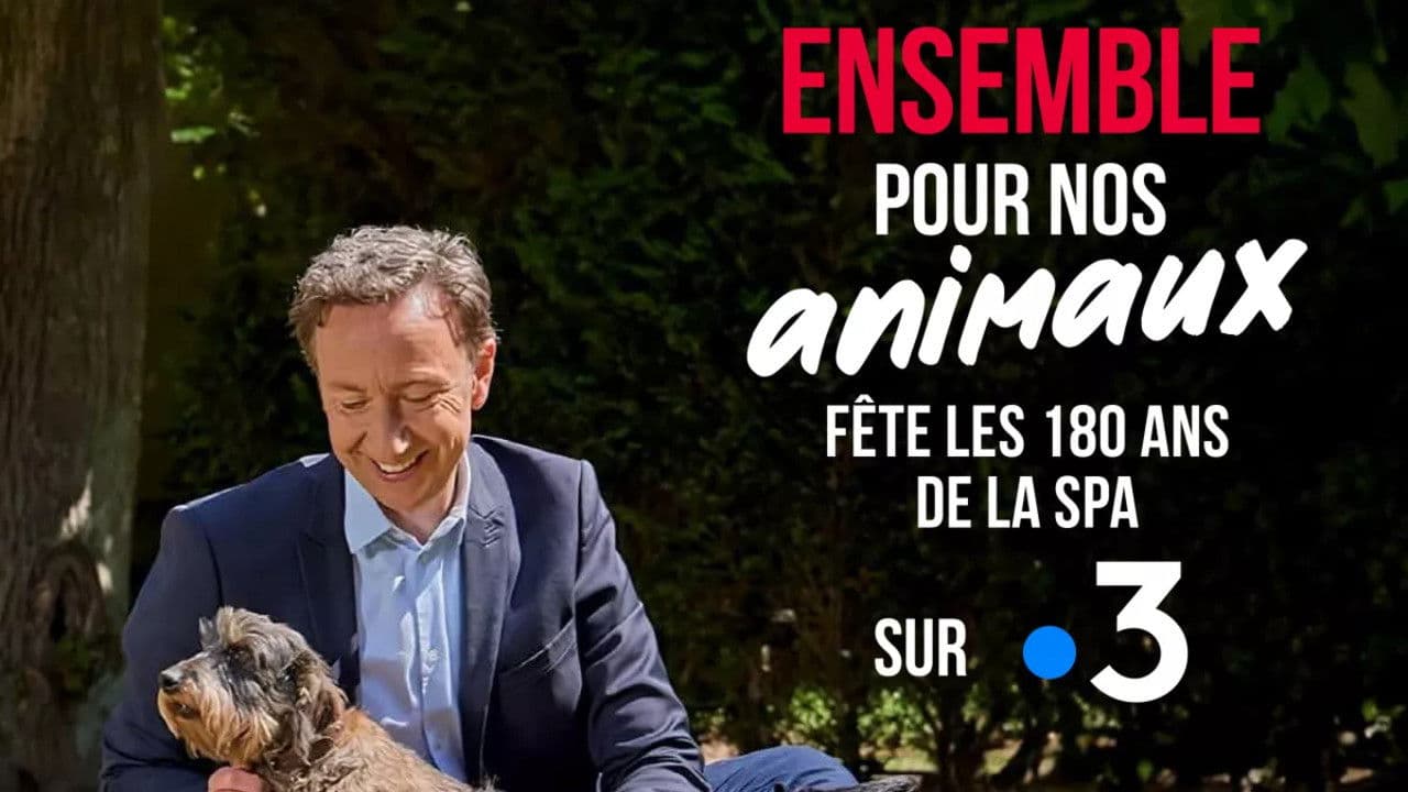 Ensemble pour nos animaux - fête les 180 ans de la SPA
