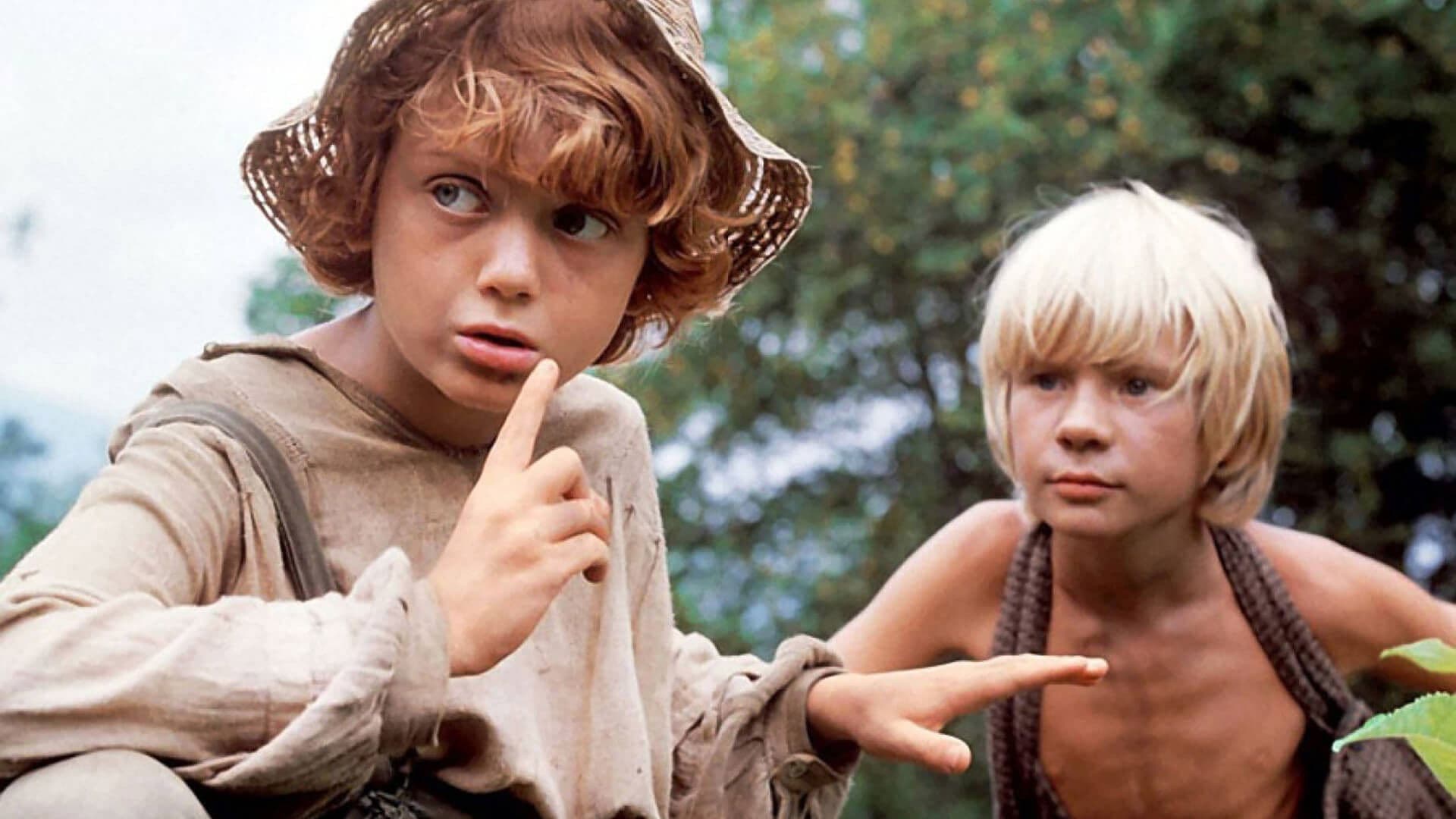 Приключения Тома Сойера и Гекльберри Финна