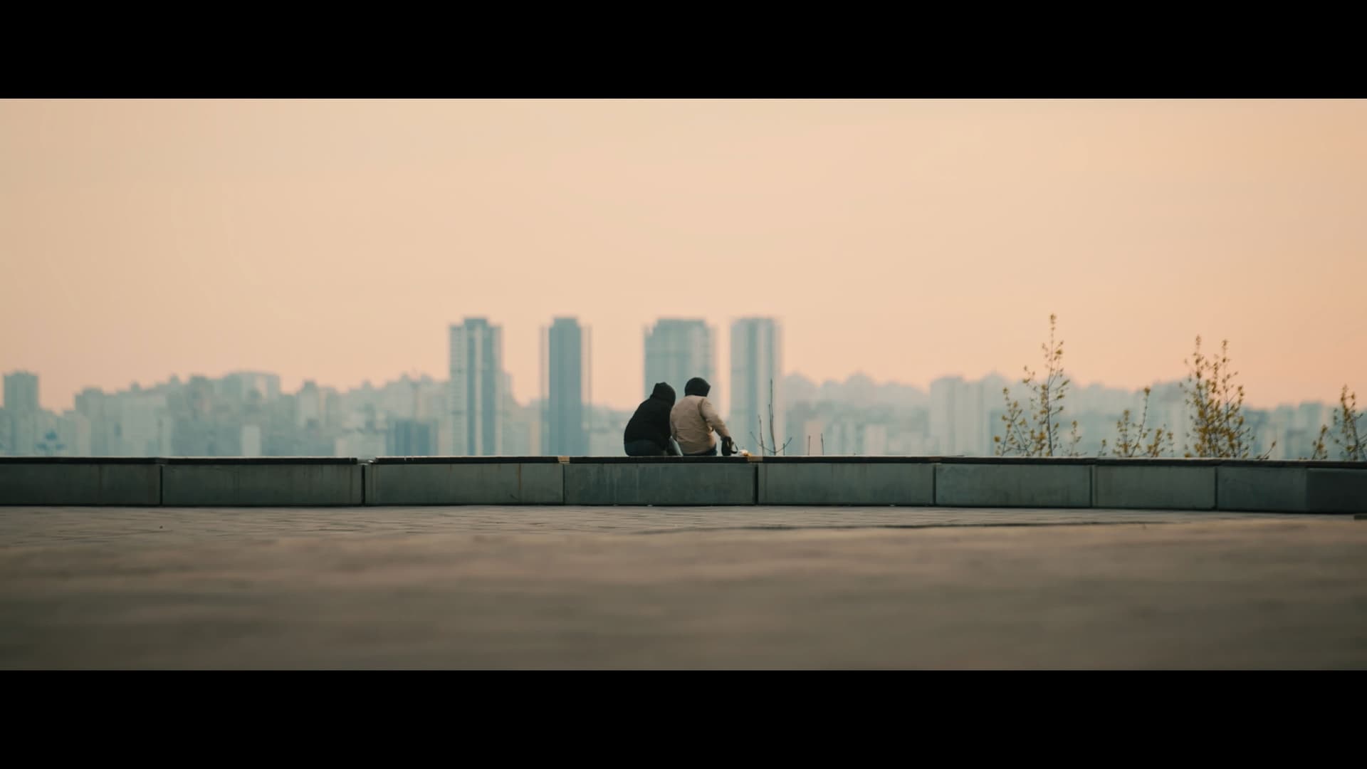 Гуси кохання