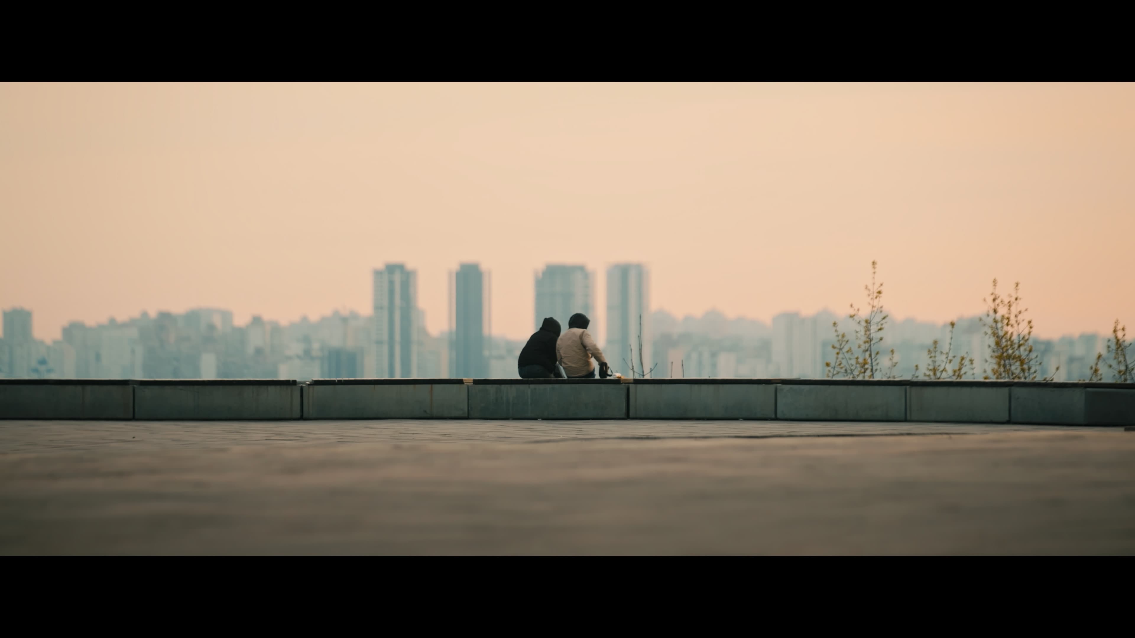 Гуси кохання