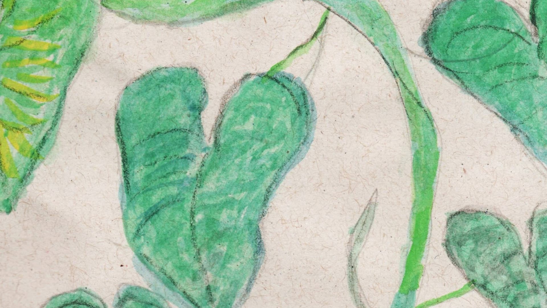 E as minhas plantas?