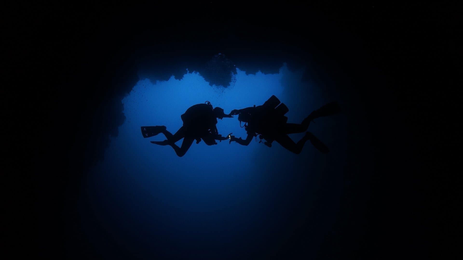 Dragoste vindecătoare