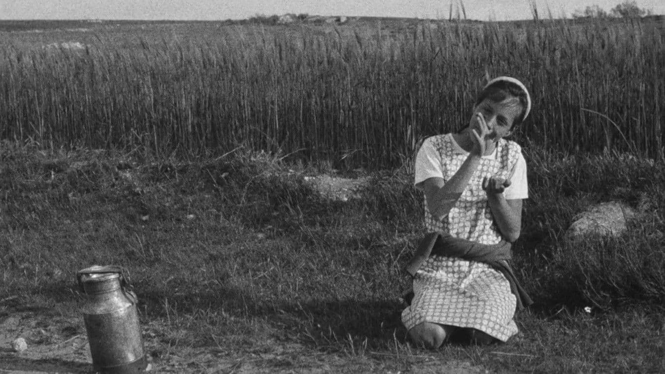 Los motivos de Berta