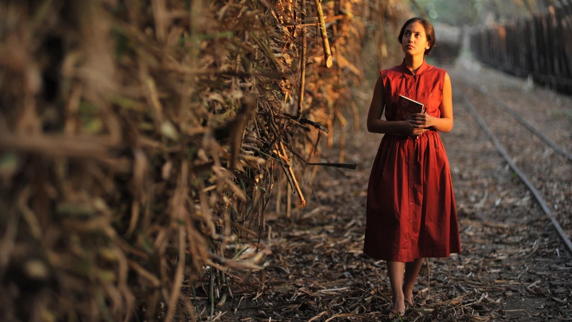 Aach... Aku Jatuh Cinta