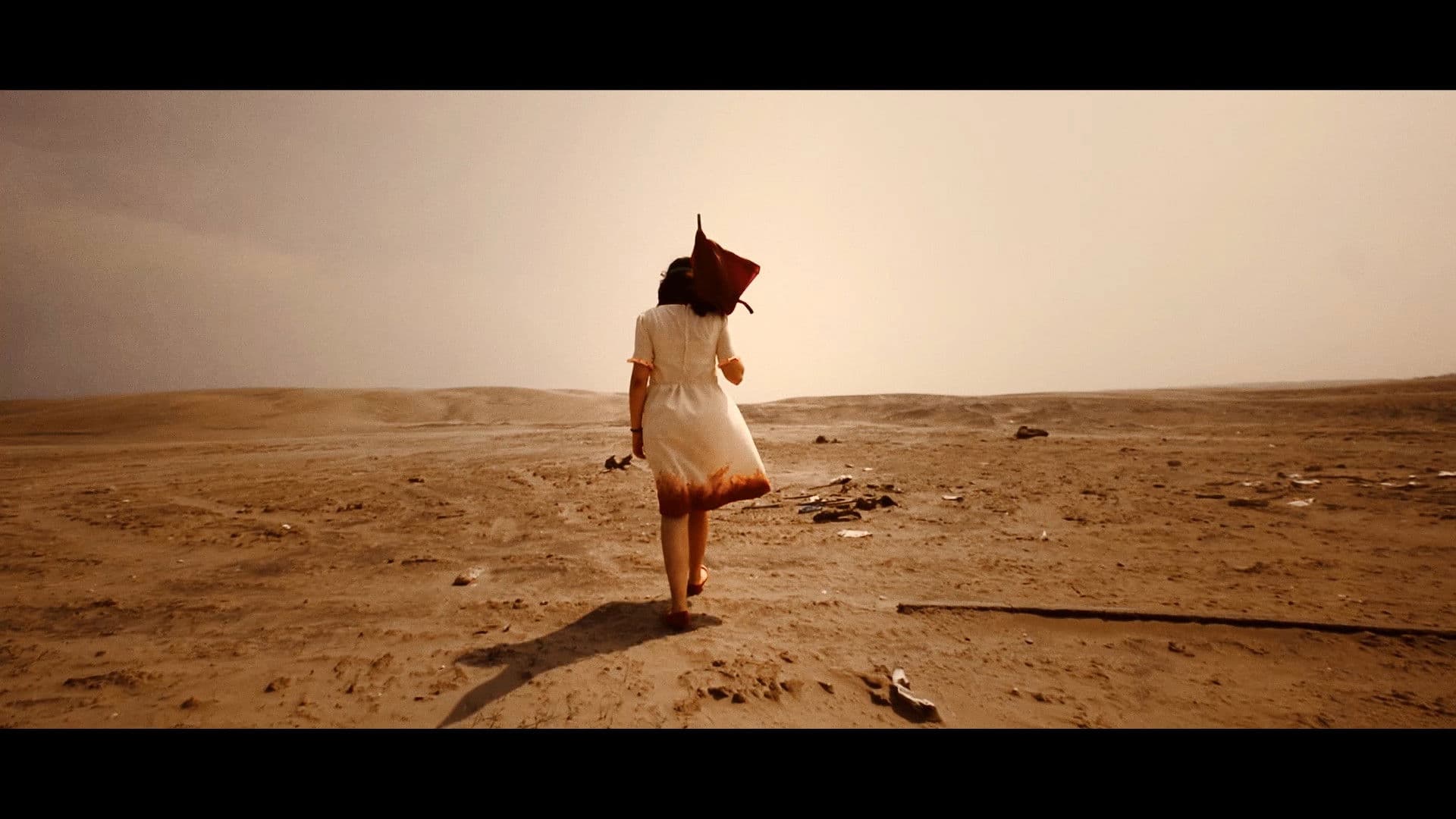 La Última Flor Del Cerezo