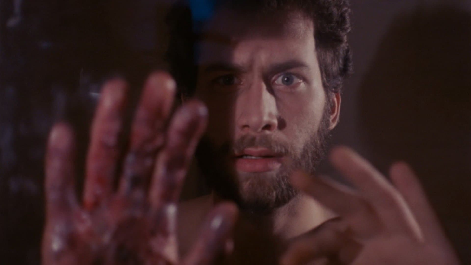 La Revanche des mortes vivantes