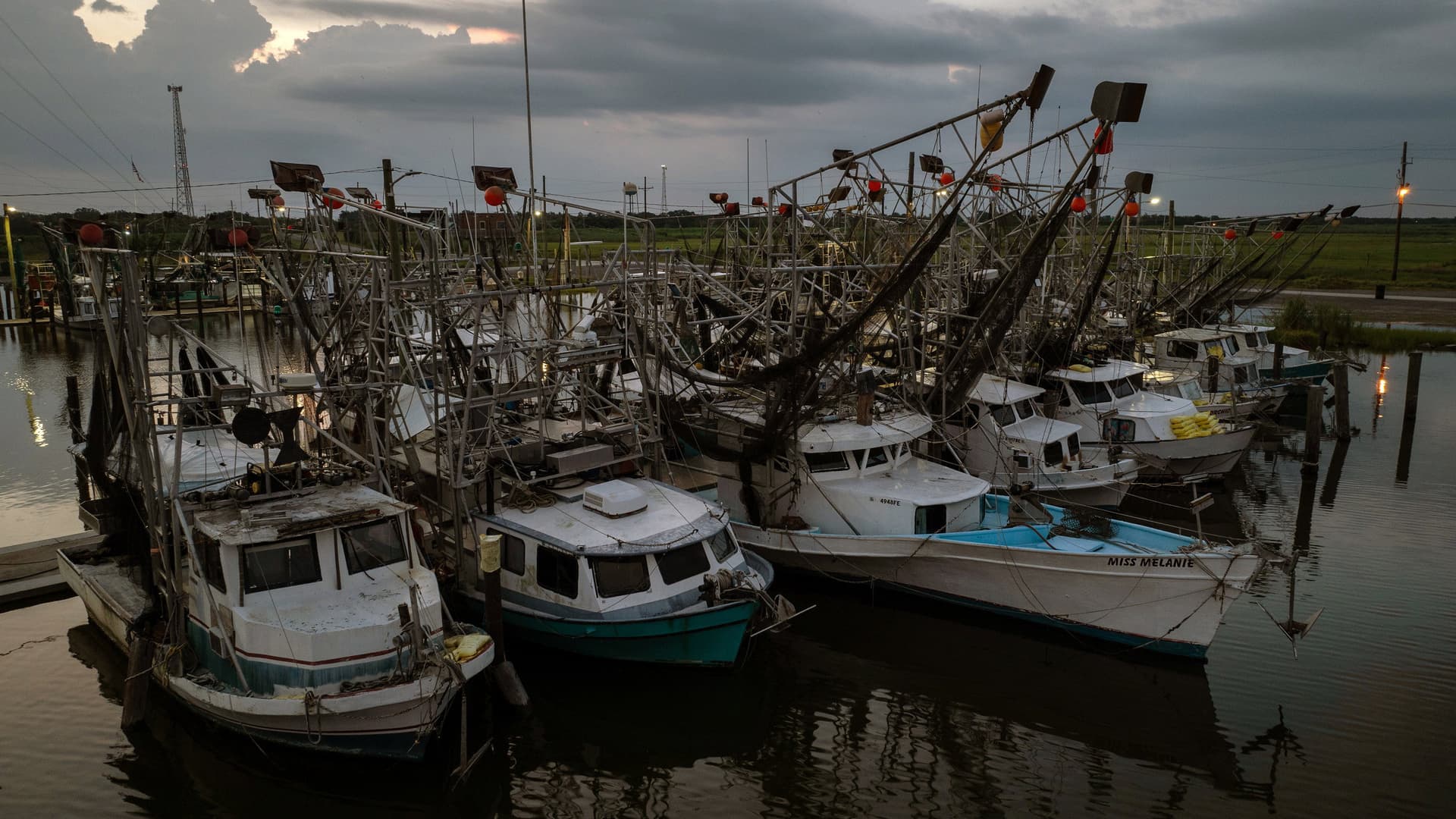 Last of the Shrimpers