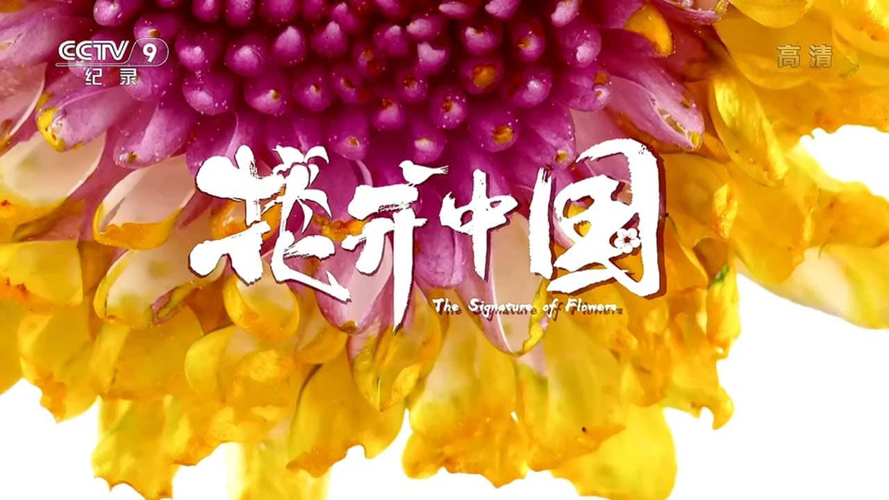 花开中国