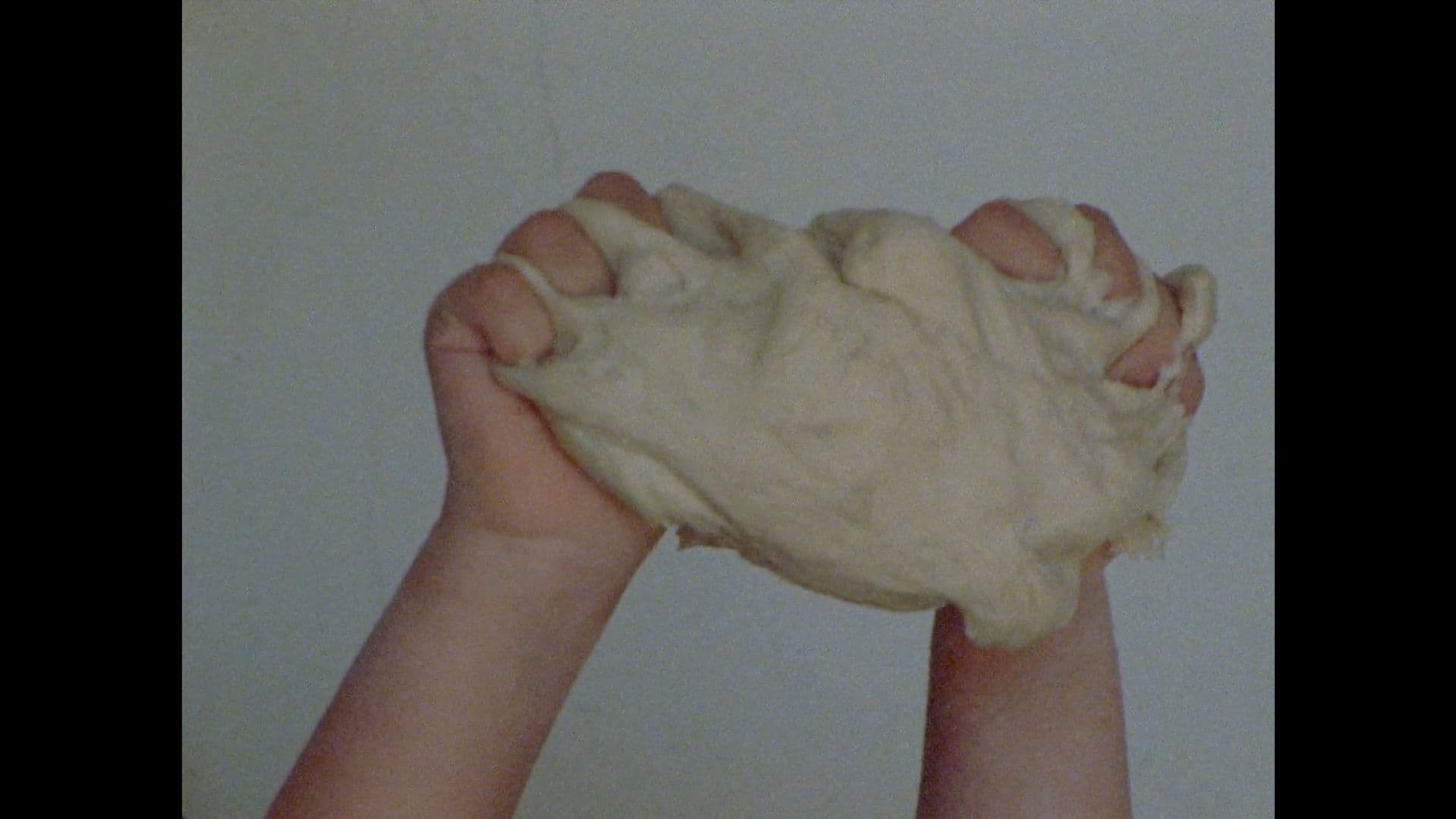 Domesticar Há Milénios