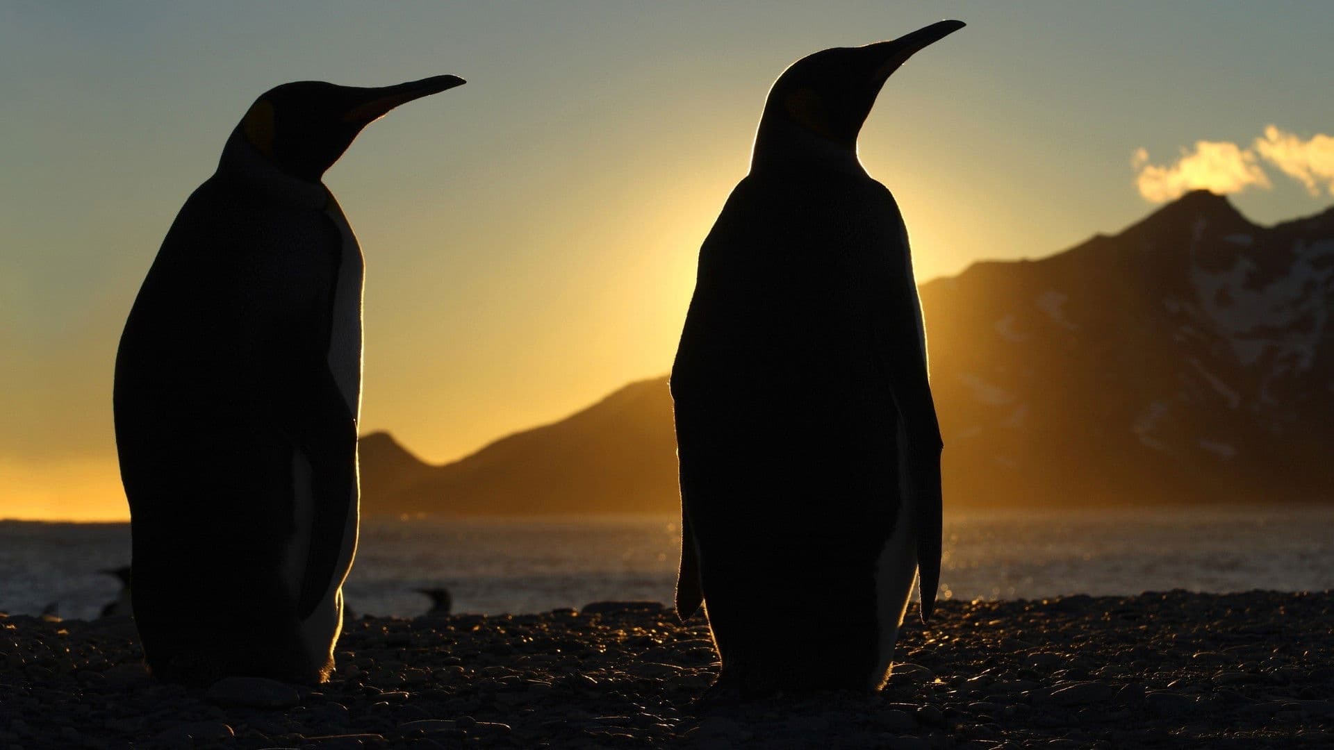 Planeta înghețată