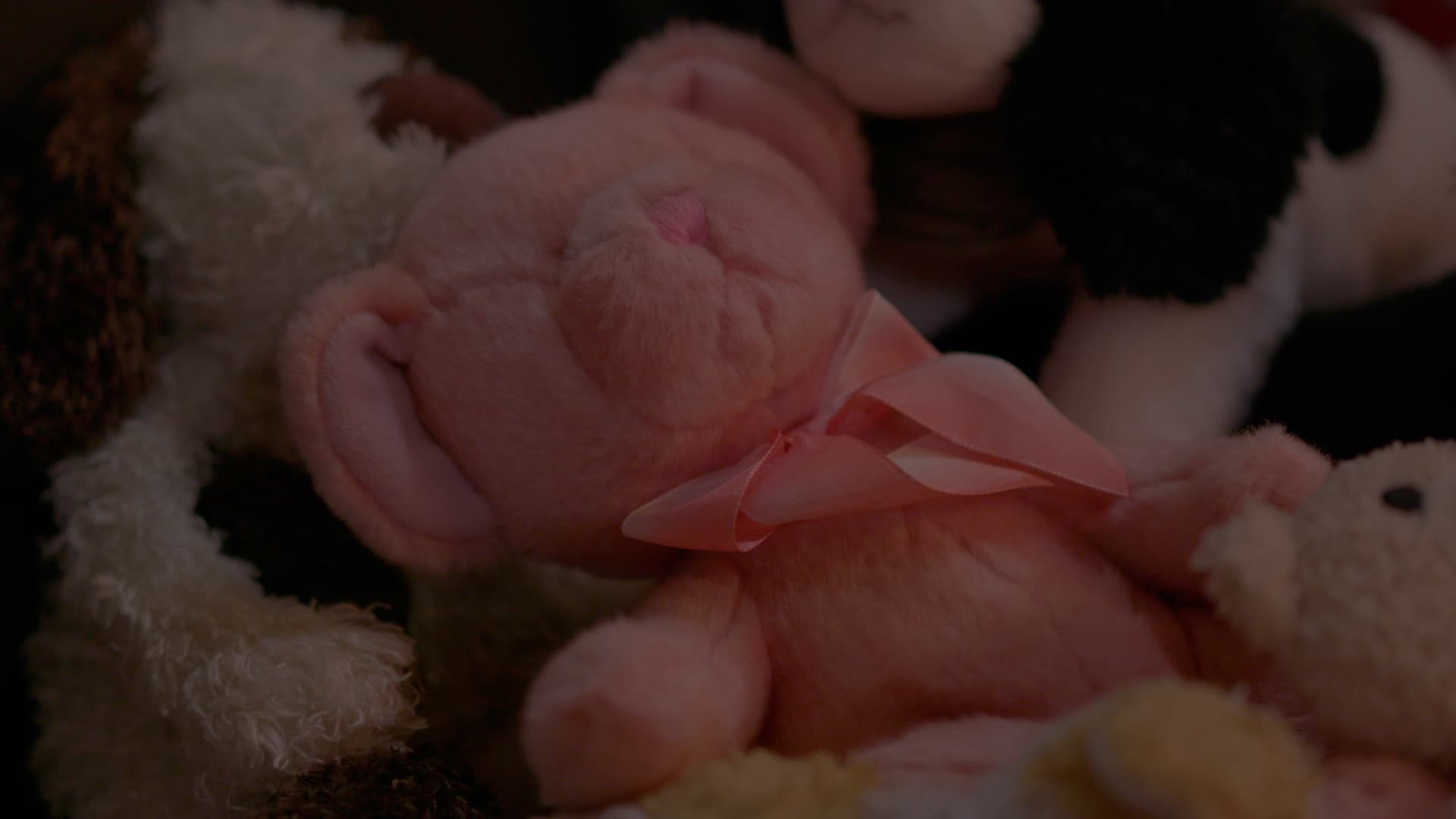 You Say We Aren't Objects...