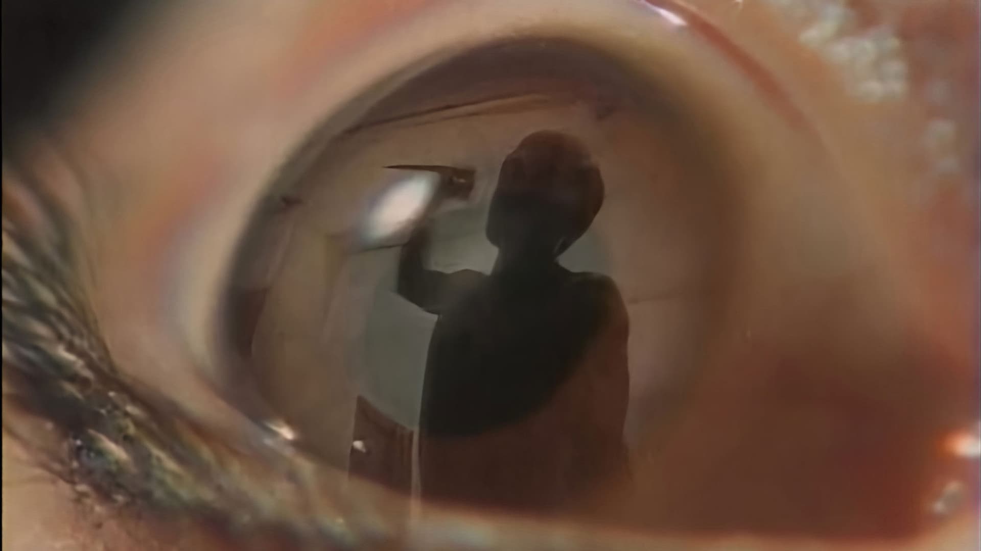 快楽殺人女捜査官　囮