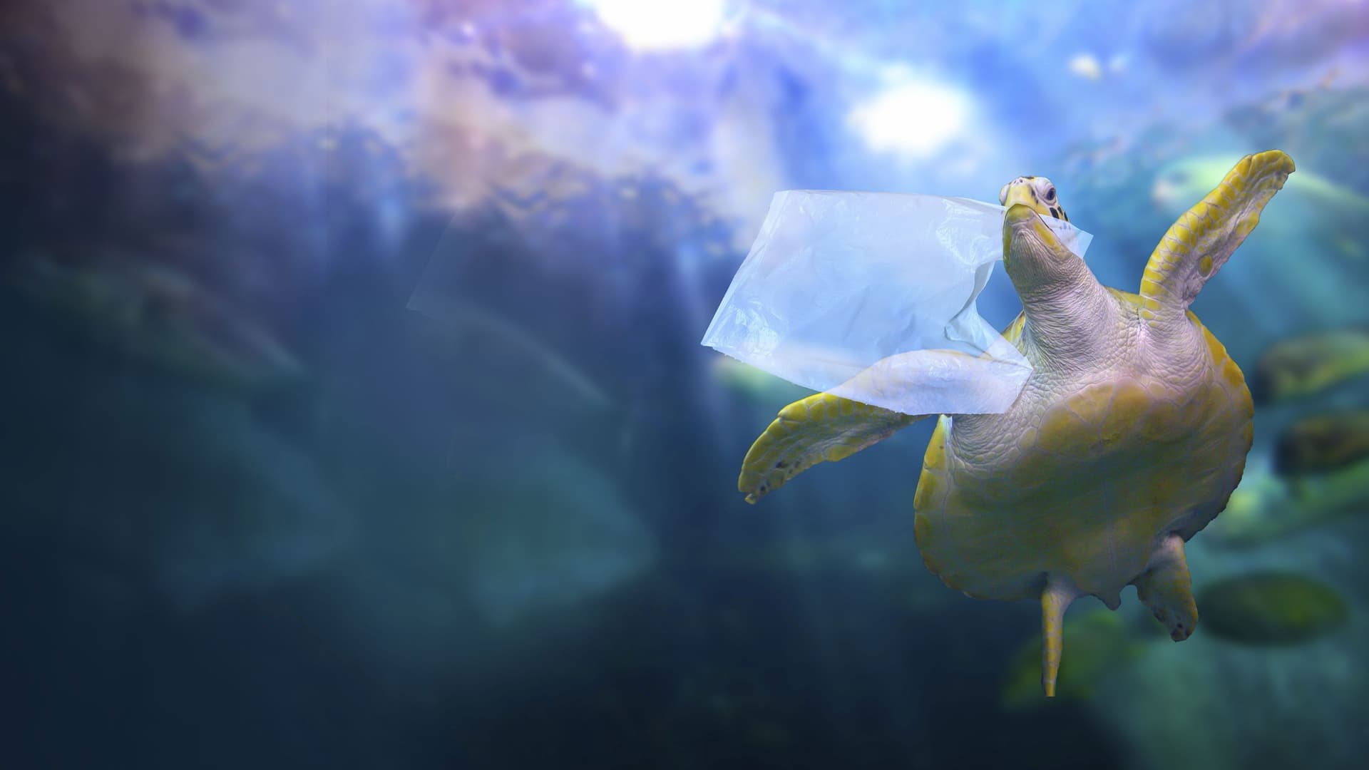 La Méditerranée, une mer de plastique