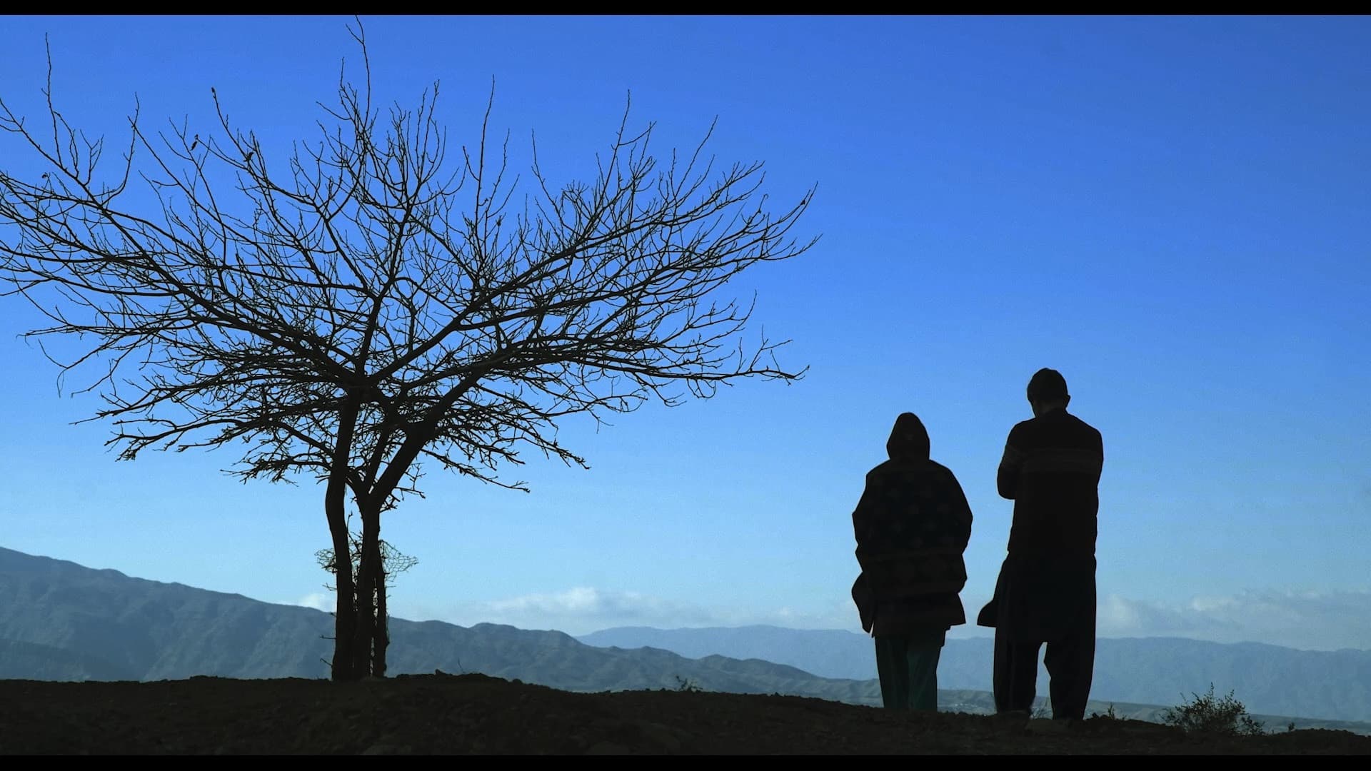 شکاف بر نور