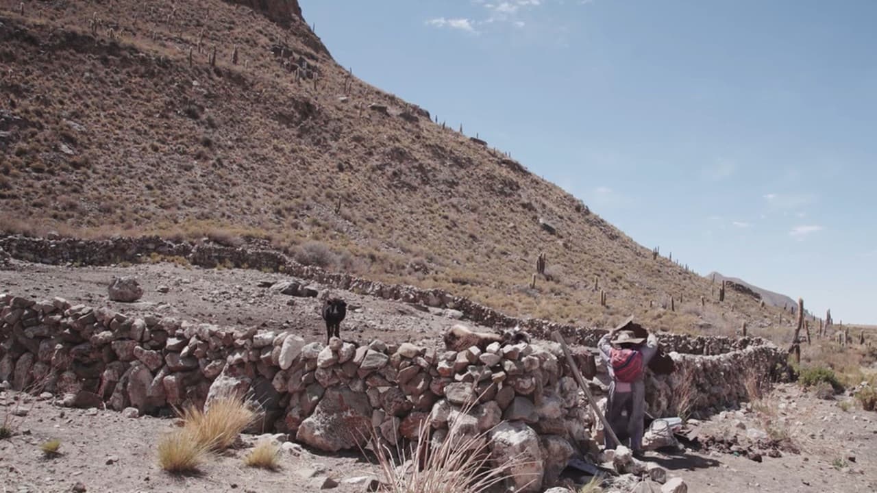 Agua para la vida. La lucha de Ayllu San Agustín de Puñaca