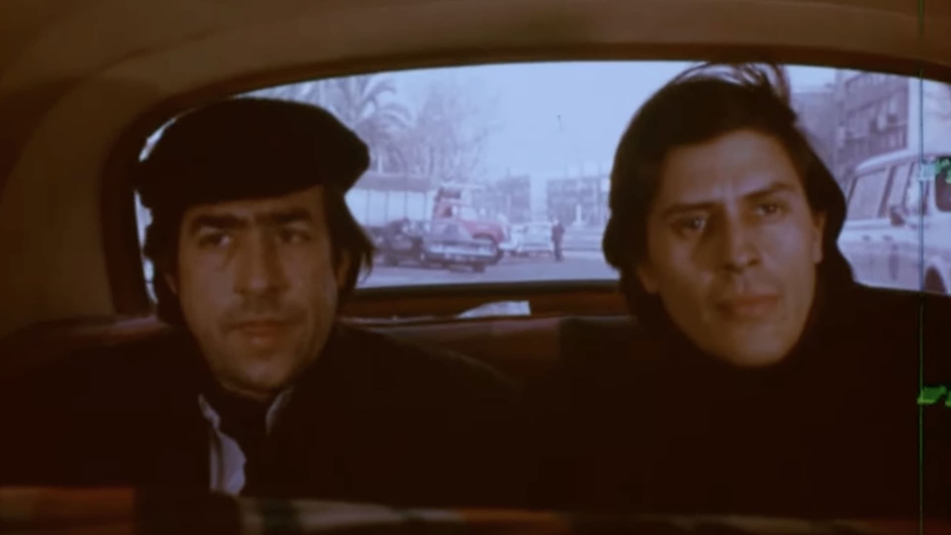 Queridos compañeros