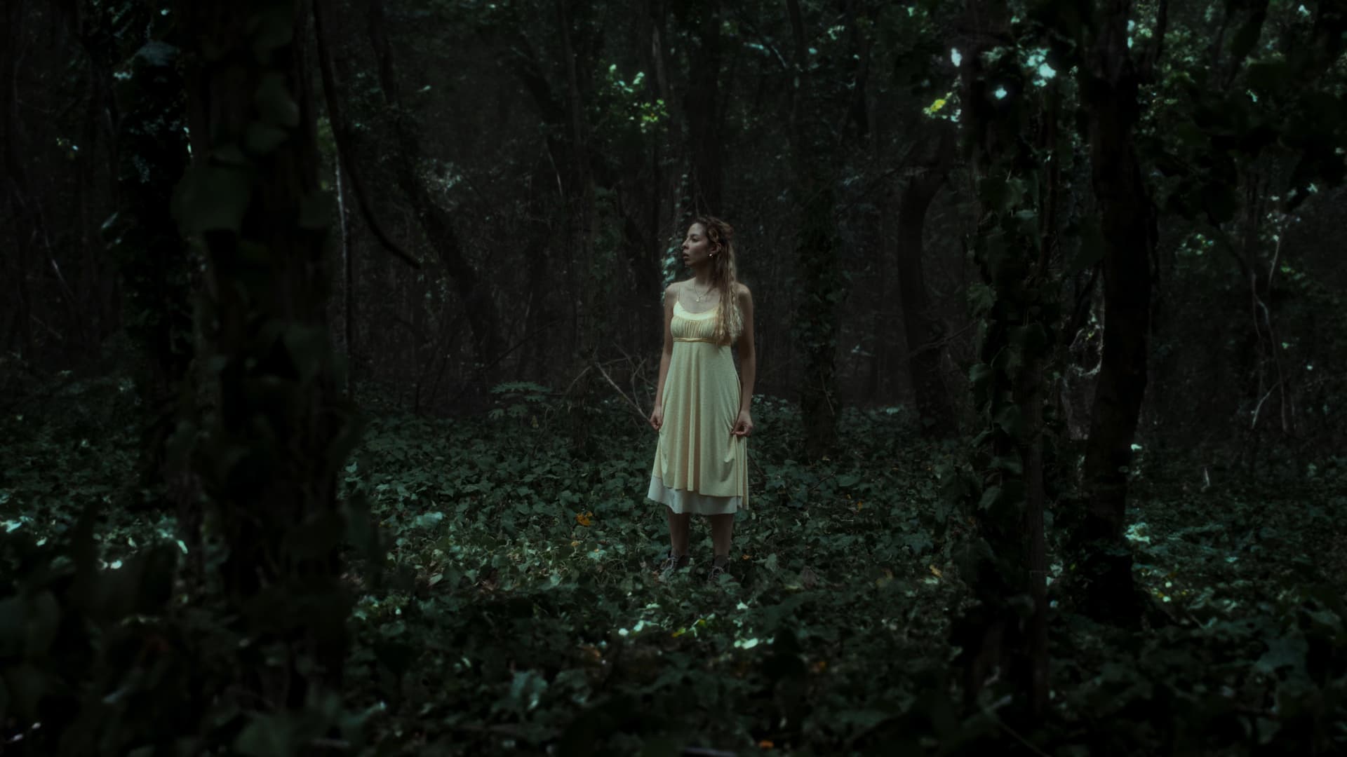 La bruja del bosque