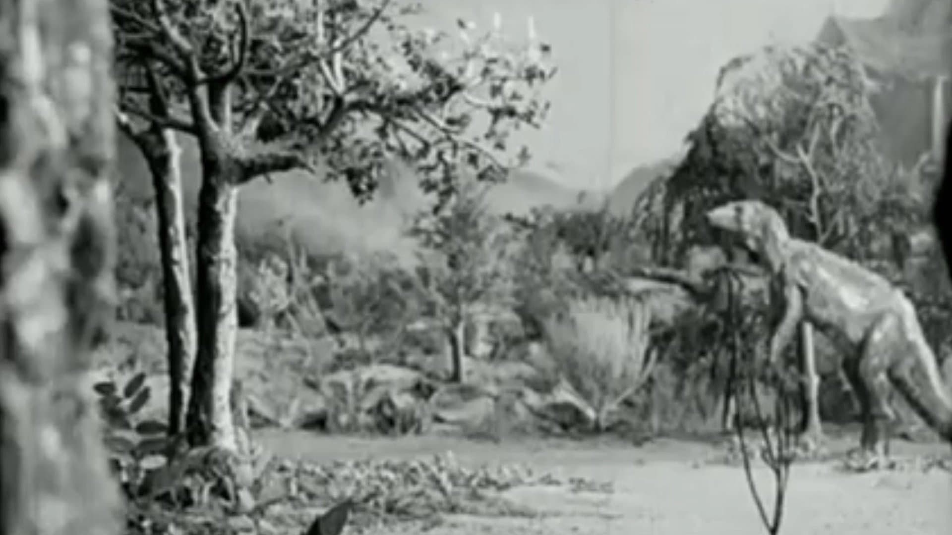 Along the Moonbeam Trail