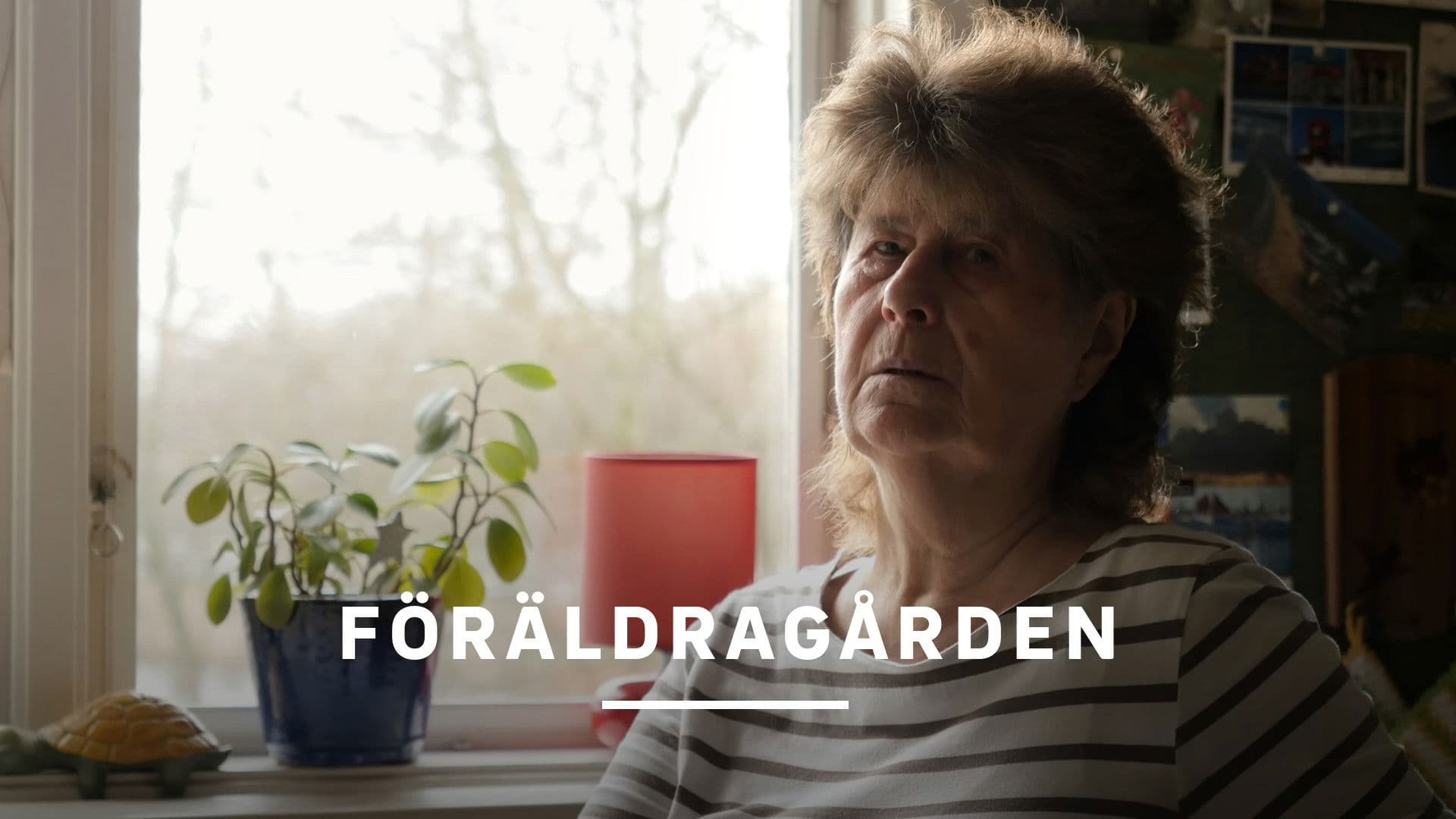 Föräldragården