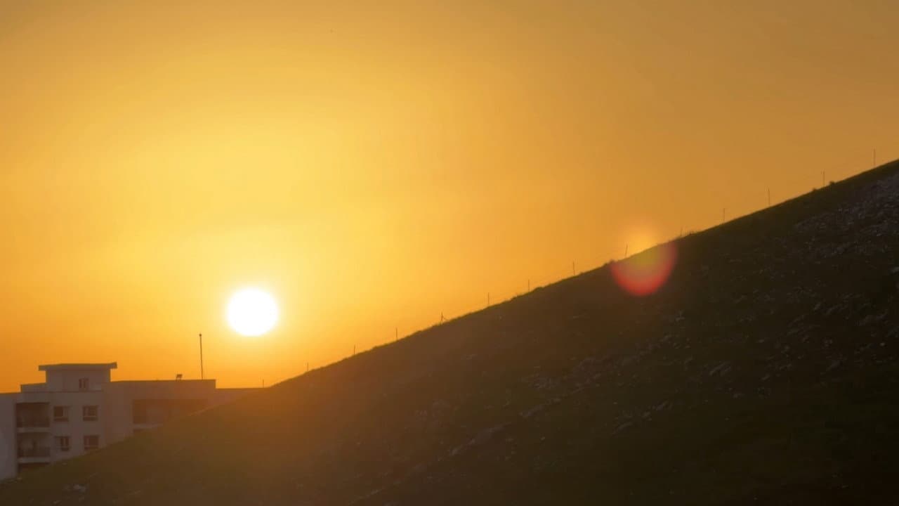 دەنگی شاخەکان