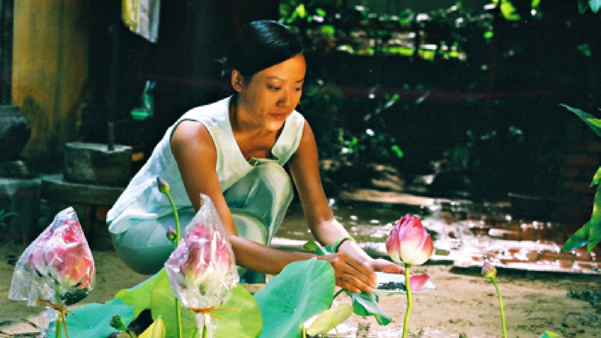 Trăng nơi đáy giếng