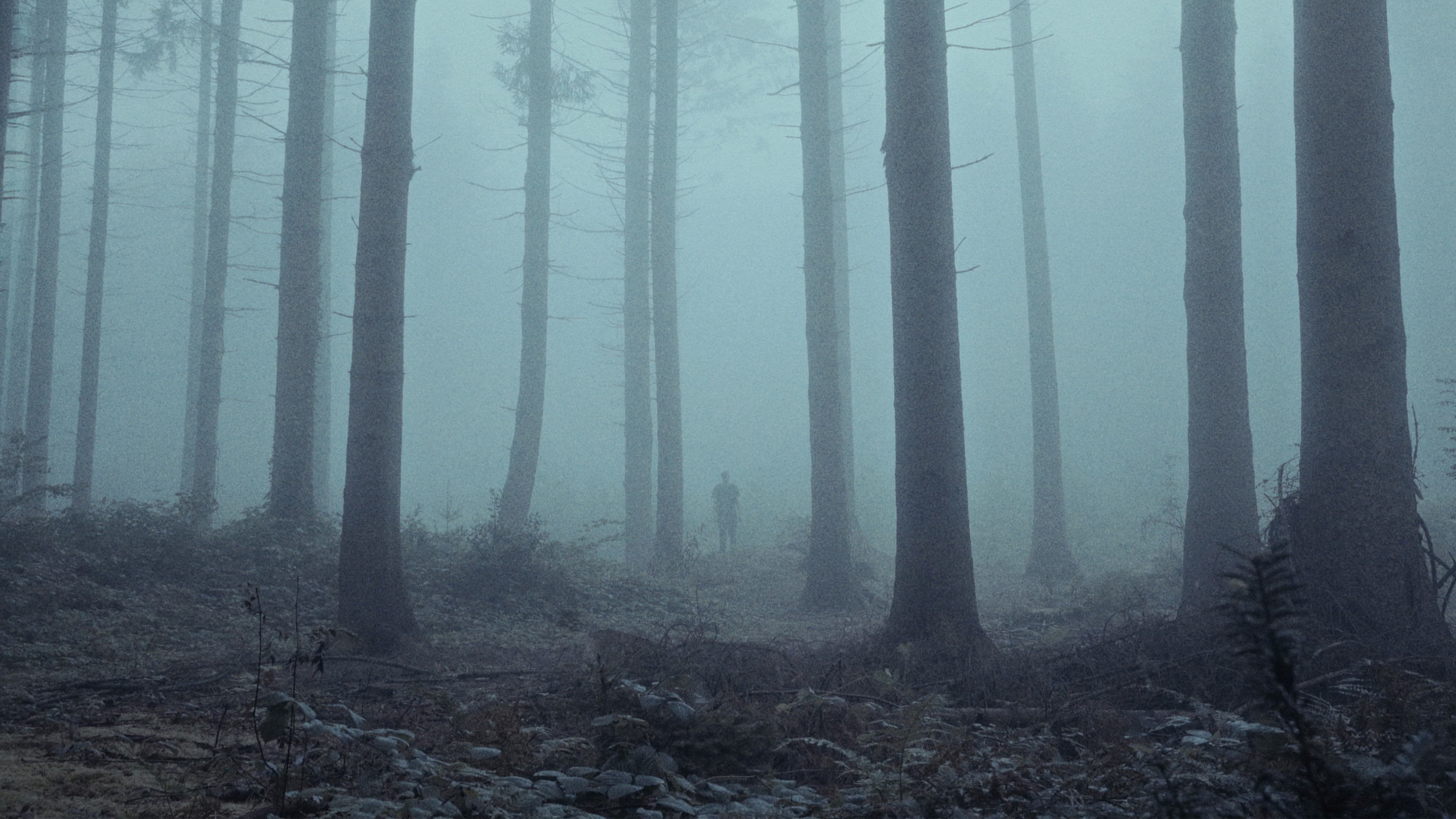 Peter will verschwinden