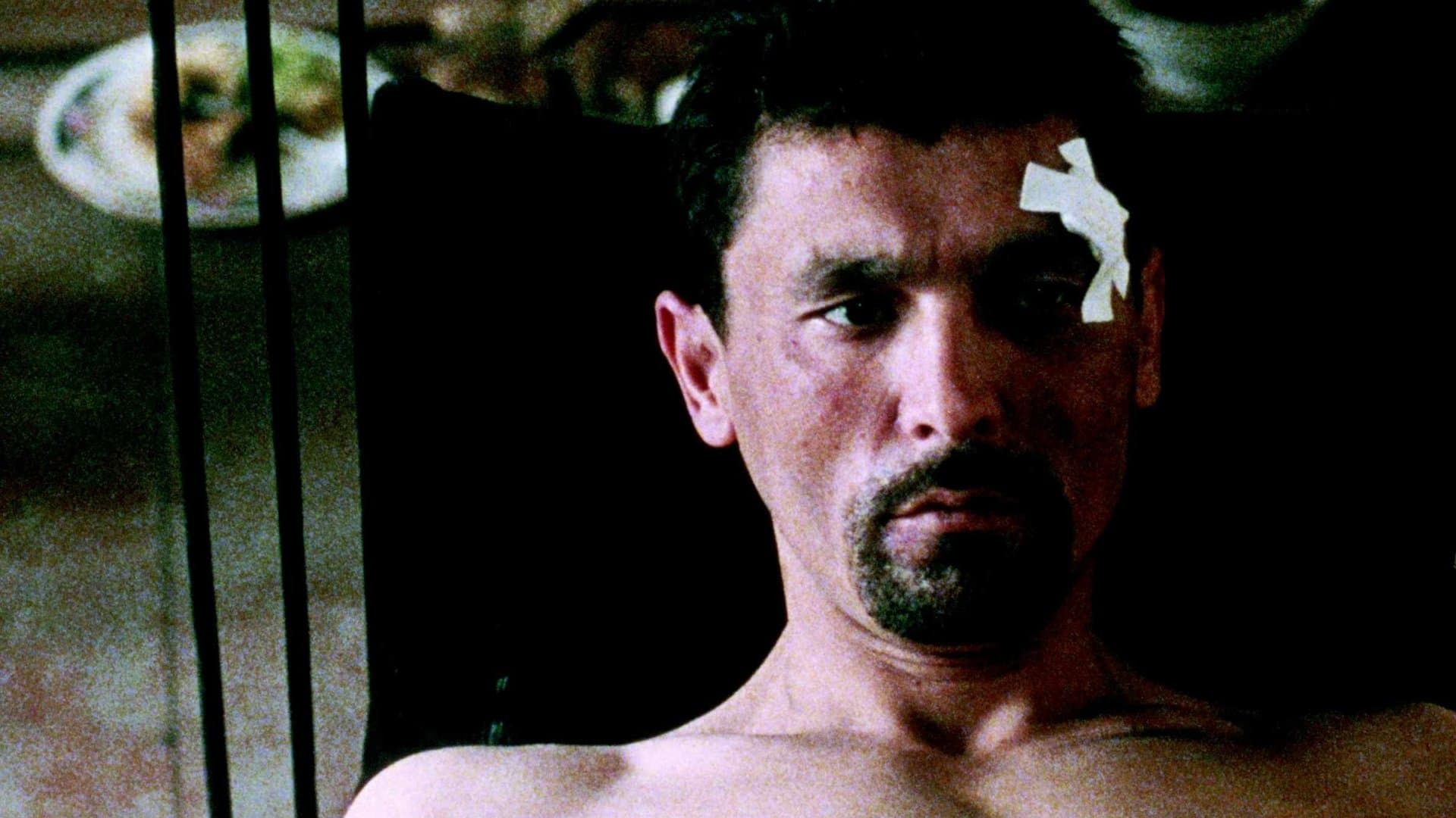 Фариштаи китфи рост