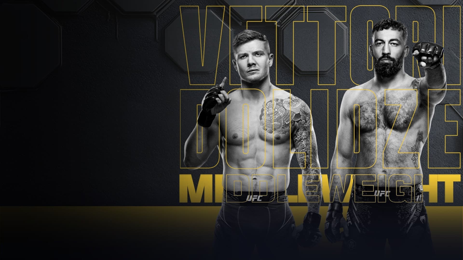 UFC Fight Night 254: Vettori vs. Dolidze 2