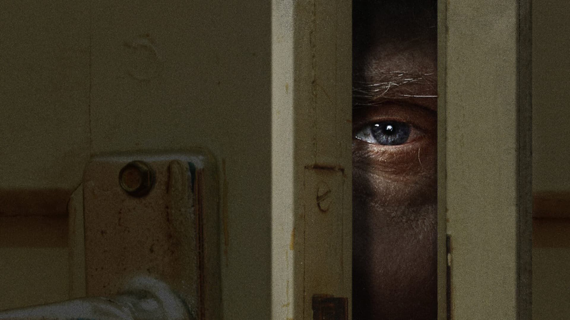 Un chiriaș de coșmar