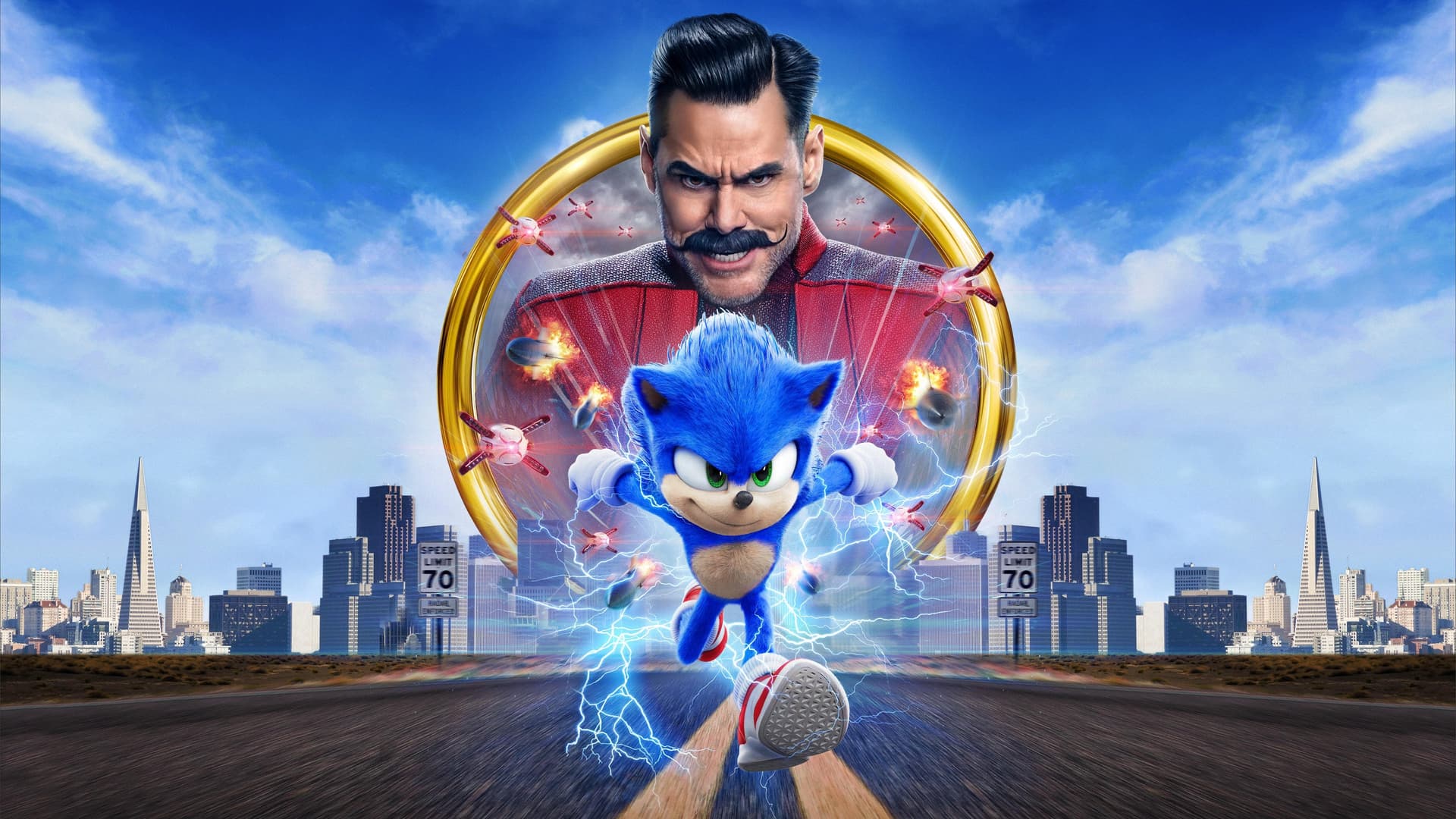 Sonic ariciul