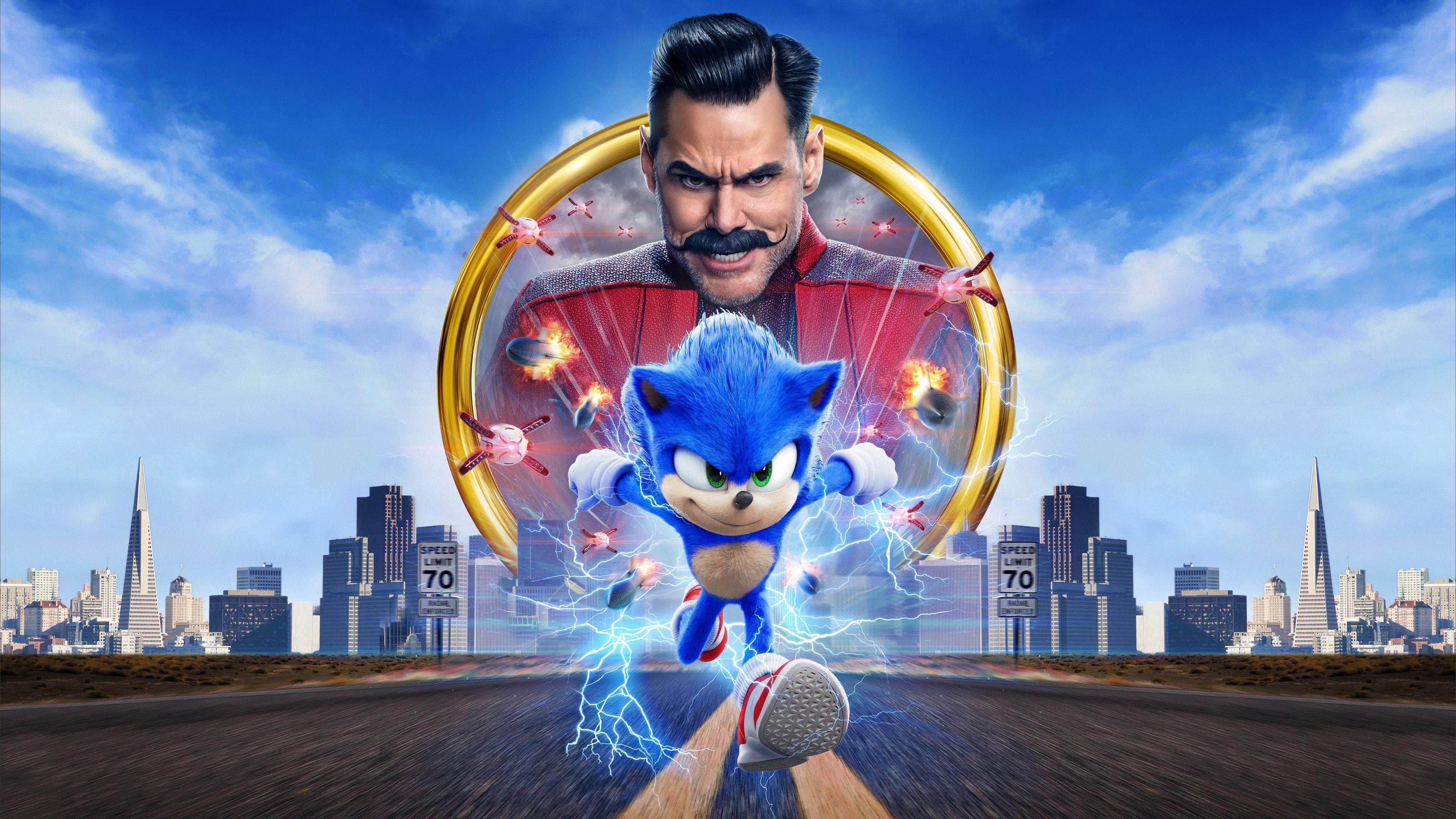 Sonic ariciul