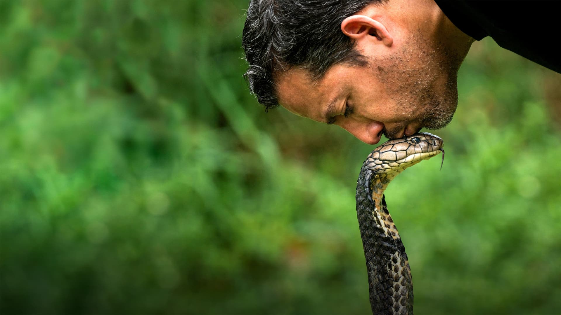 David Blaine: Culisele magiei