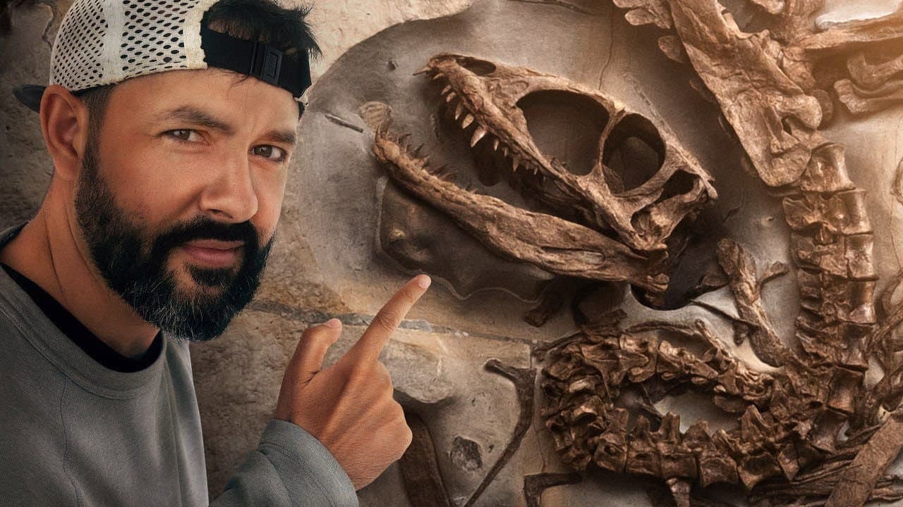 UN DINOSAURE INCONNU TROUVÉ EN FRANCE