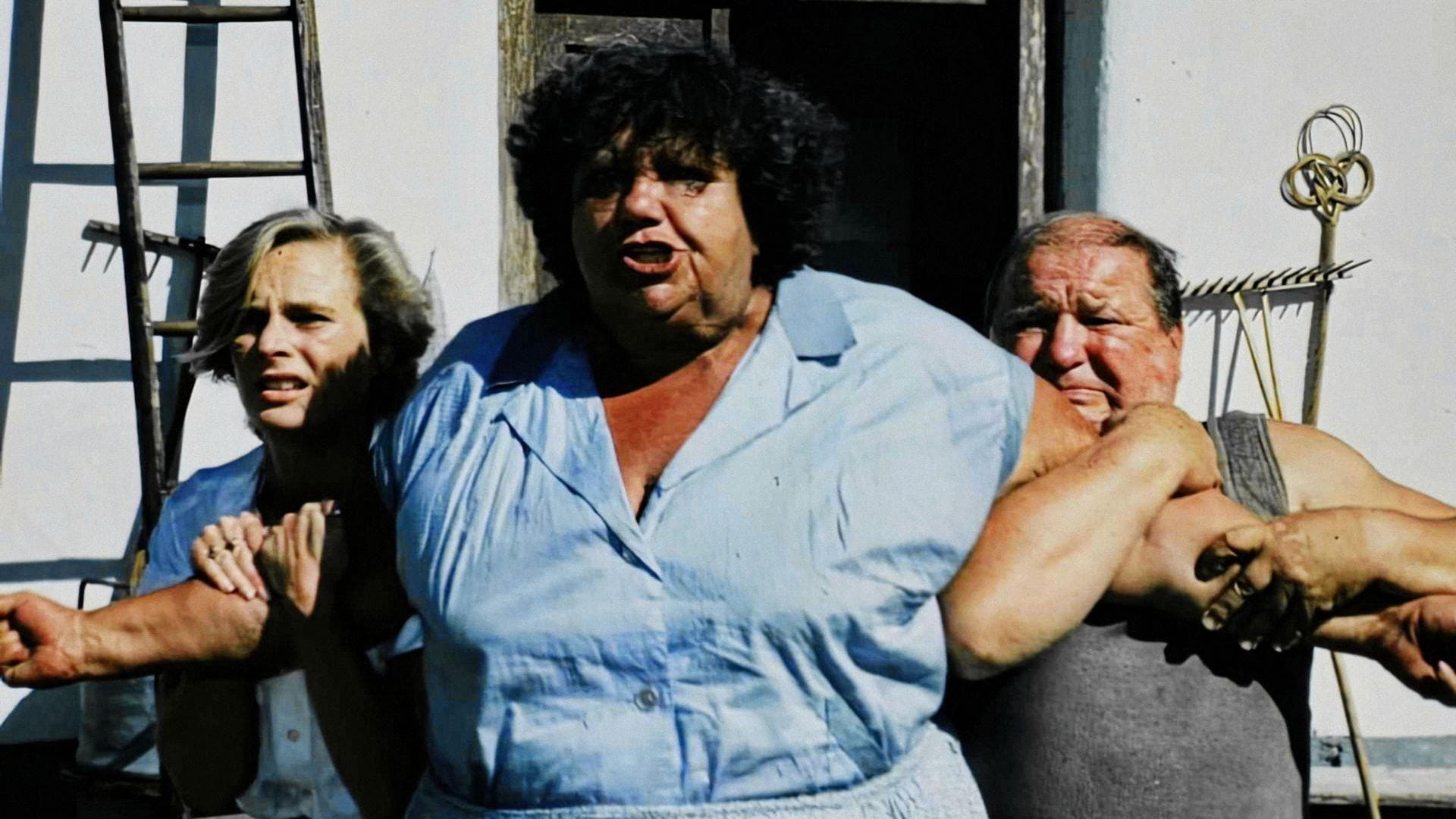 Slunce, seno a pár facek