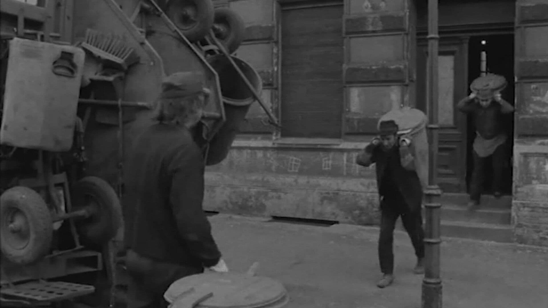 Müllbeseitigung: a) Hausmüll