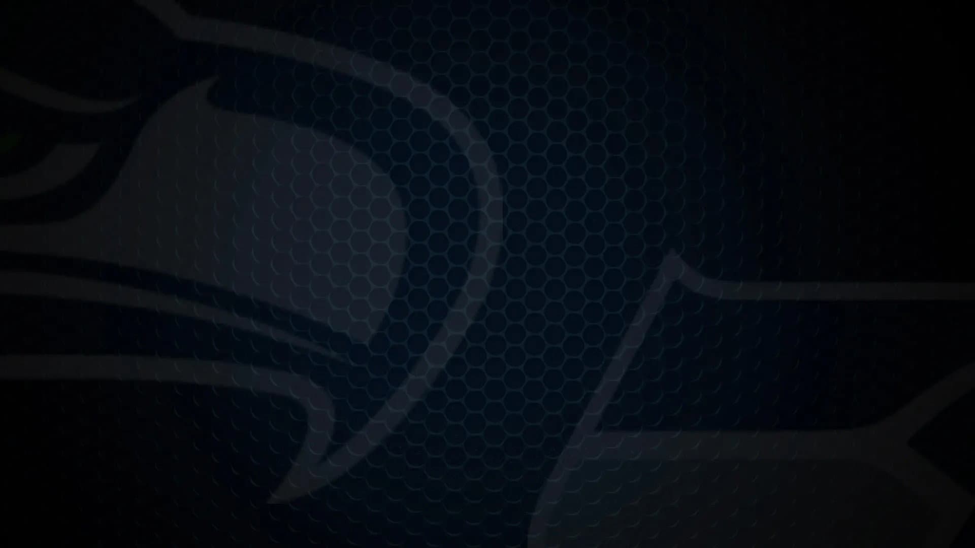 Super Bowl Champions: The 2025 Seattle Seahawks