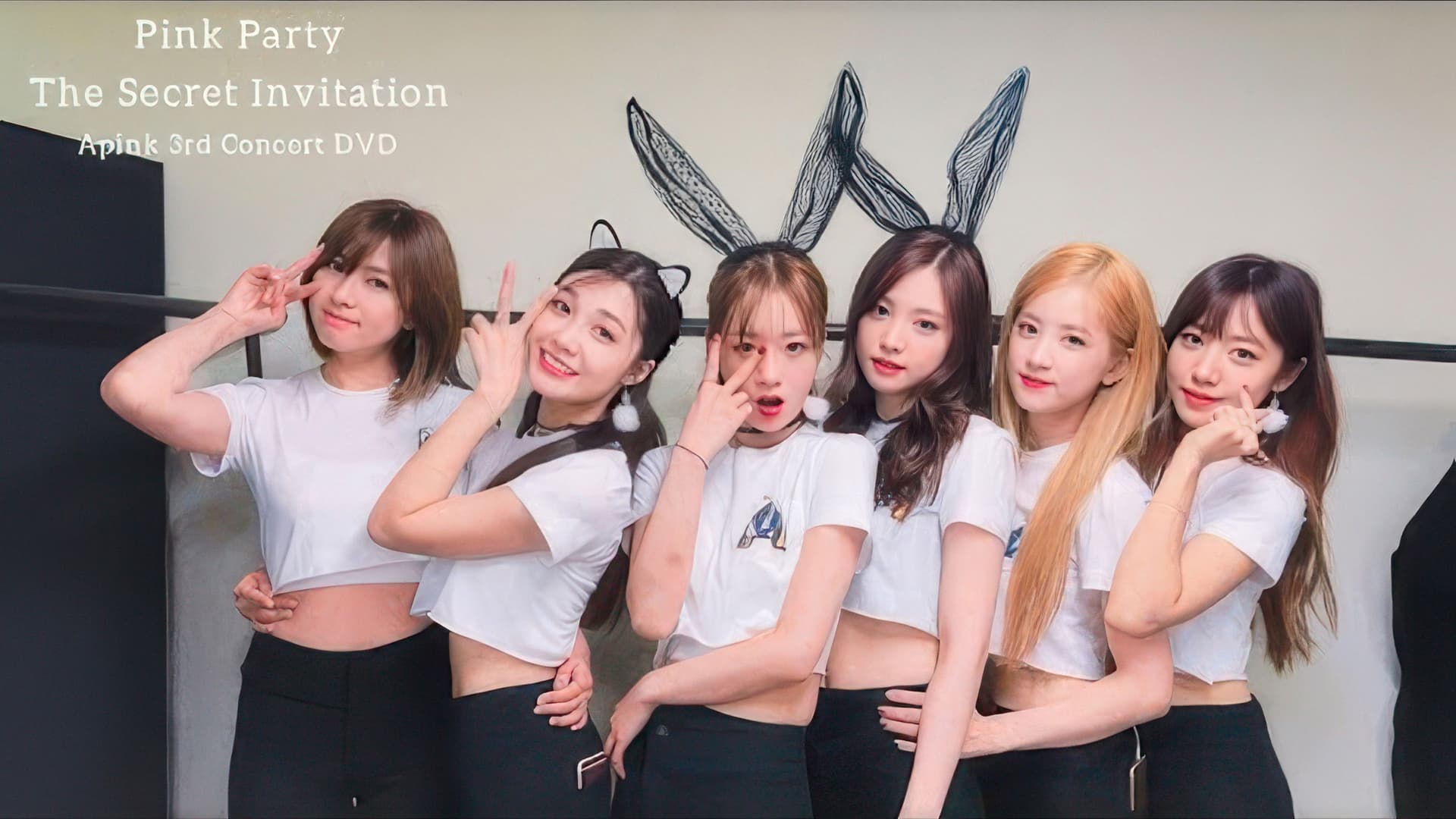 Apink 3rd Concert "Pink Party"