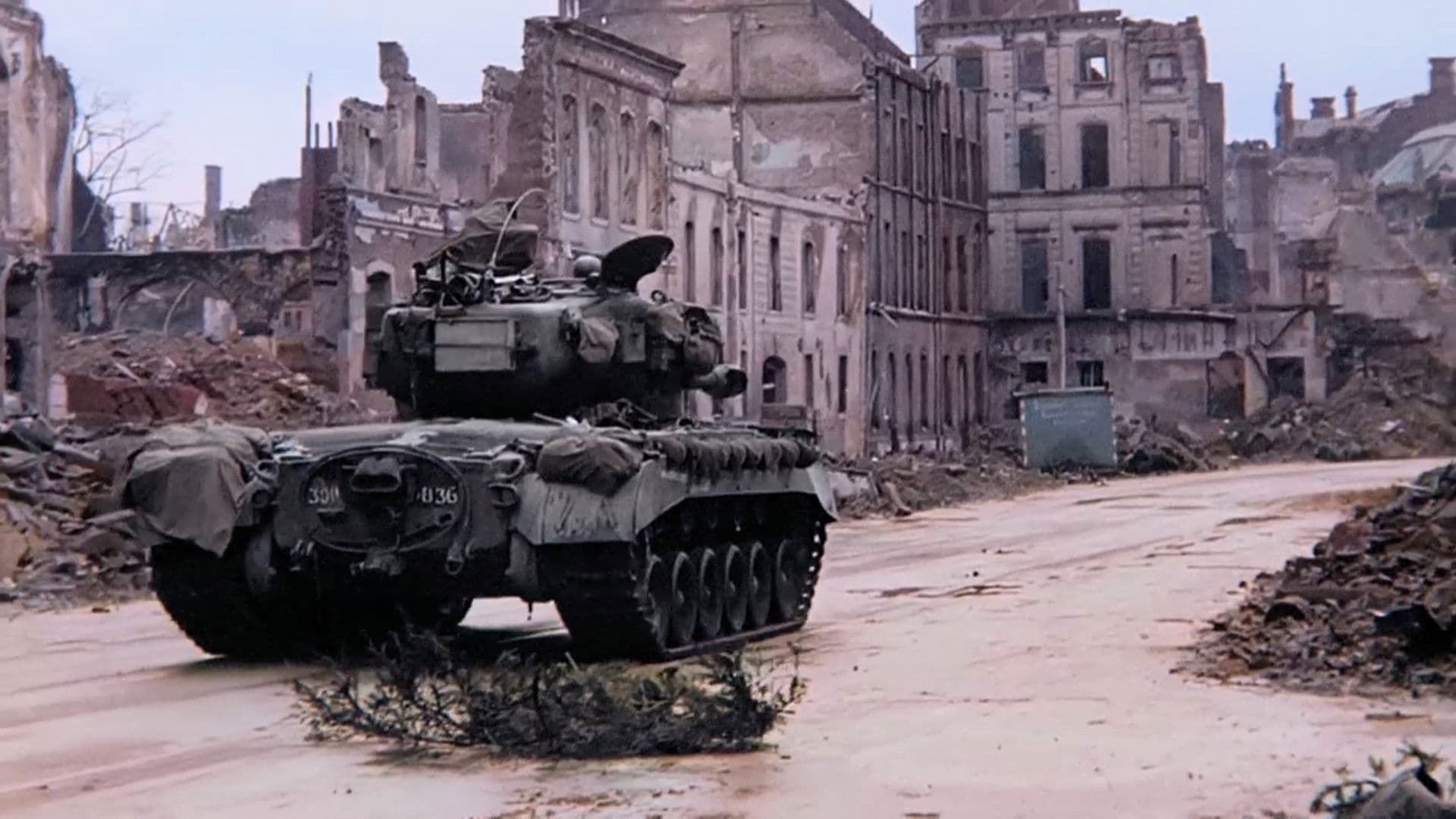 Liberation: D-Day to Berlin