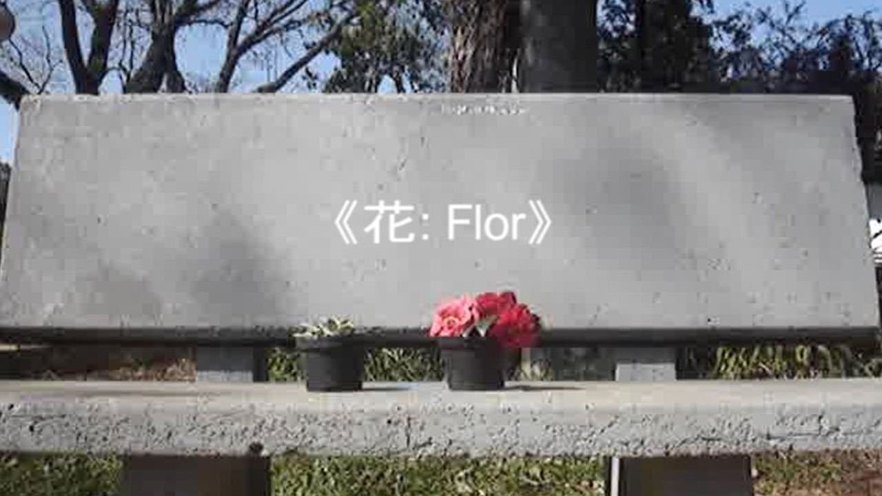 Uma Antologia de Questões Sobre o Amor