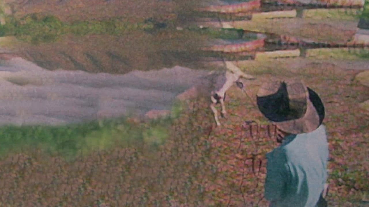 Pantanal: las aguas de la vida