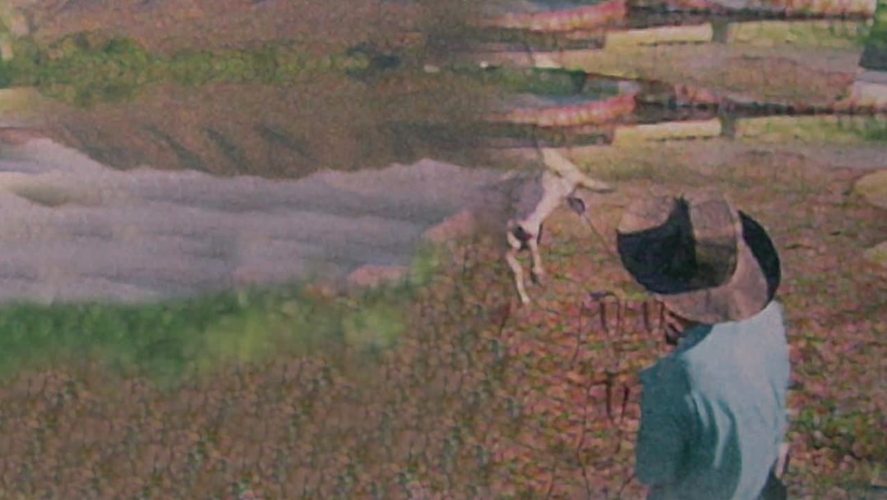 Pantanal: las aguas de la vida