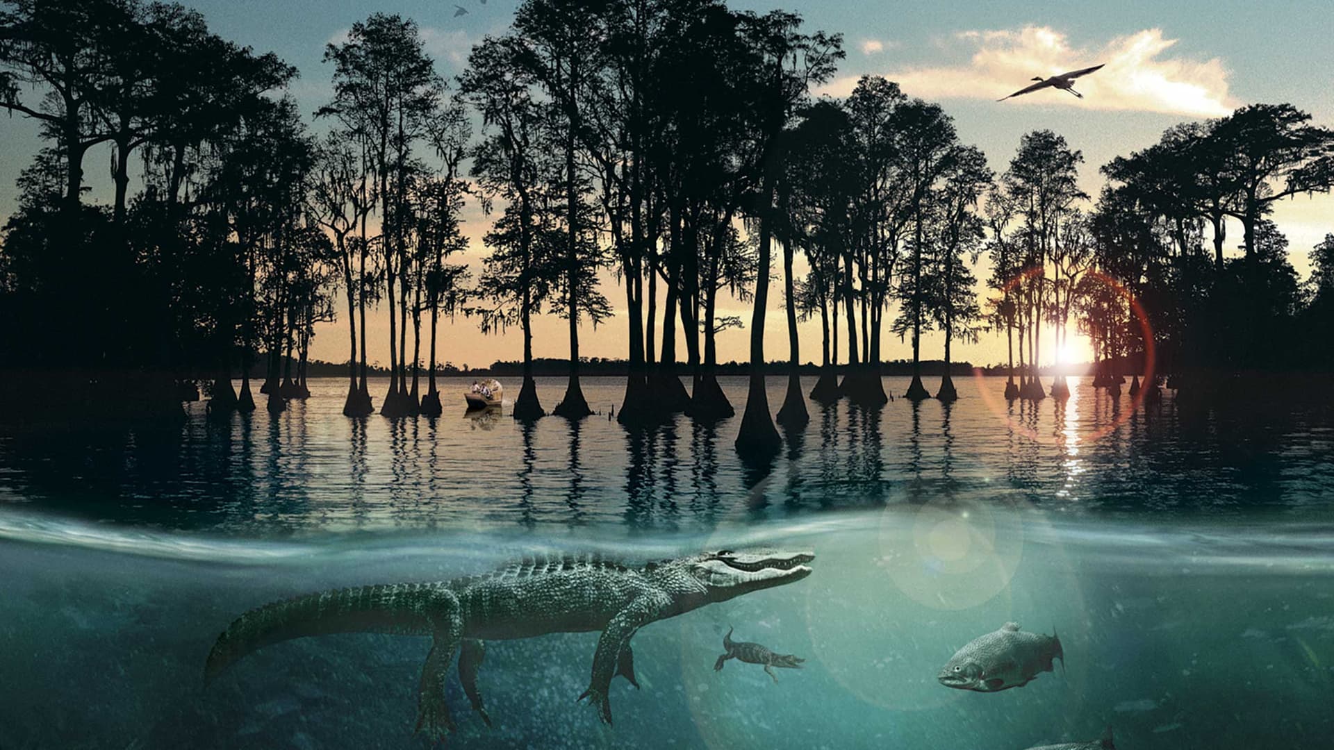 Uraganul în mlaștină